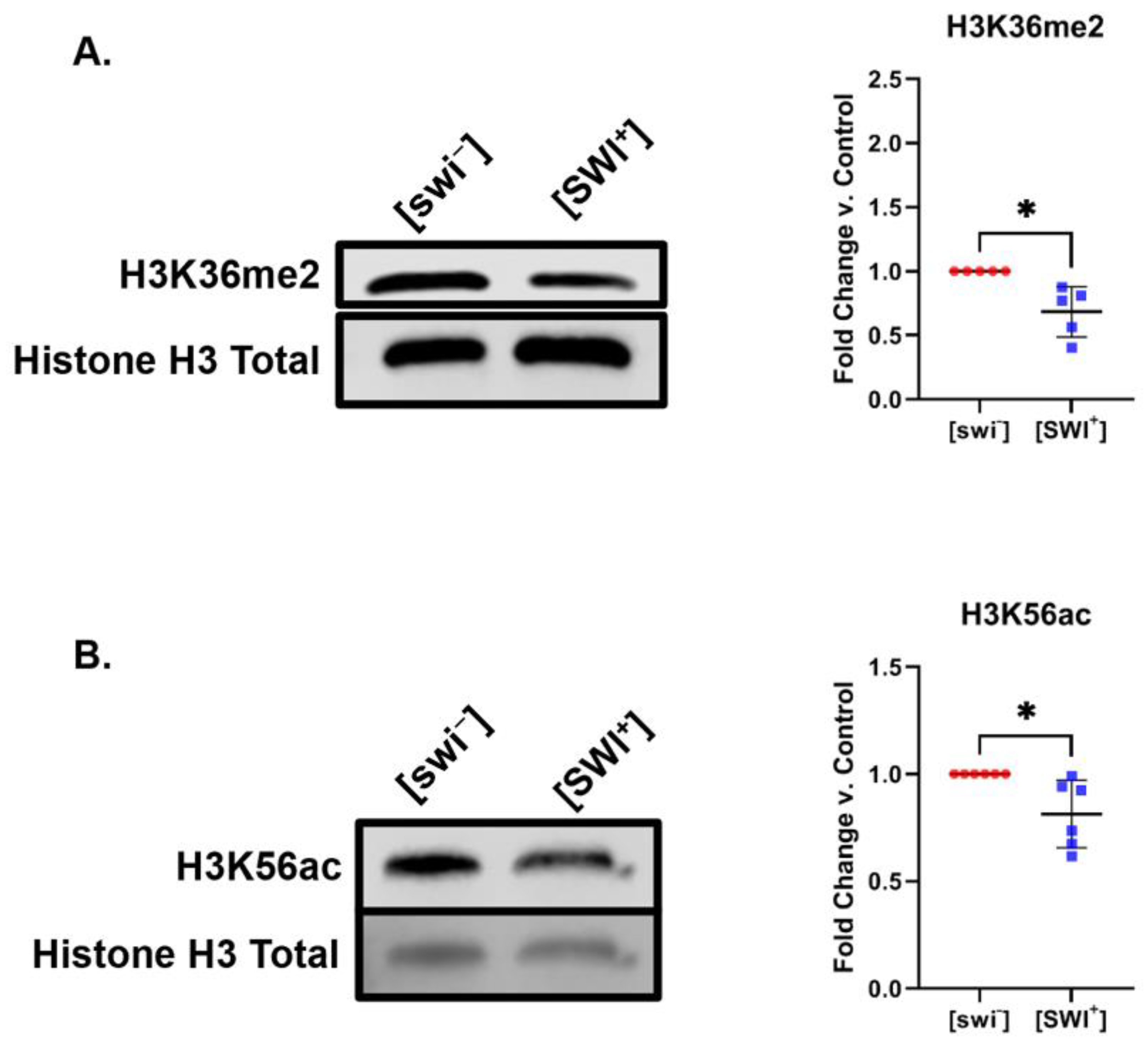 Pathogens 11 01436 g002 Pathogens 11 01436 g002