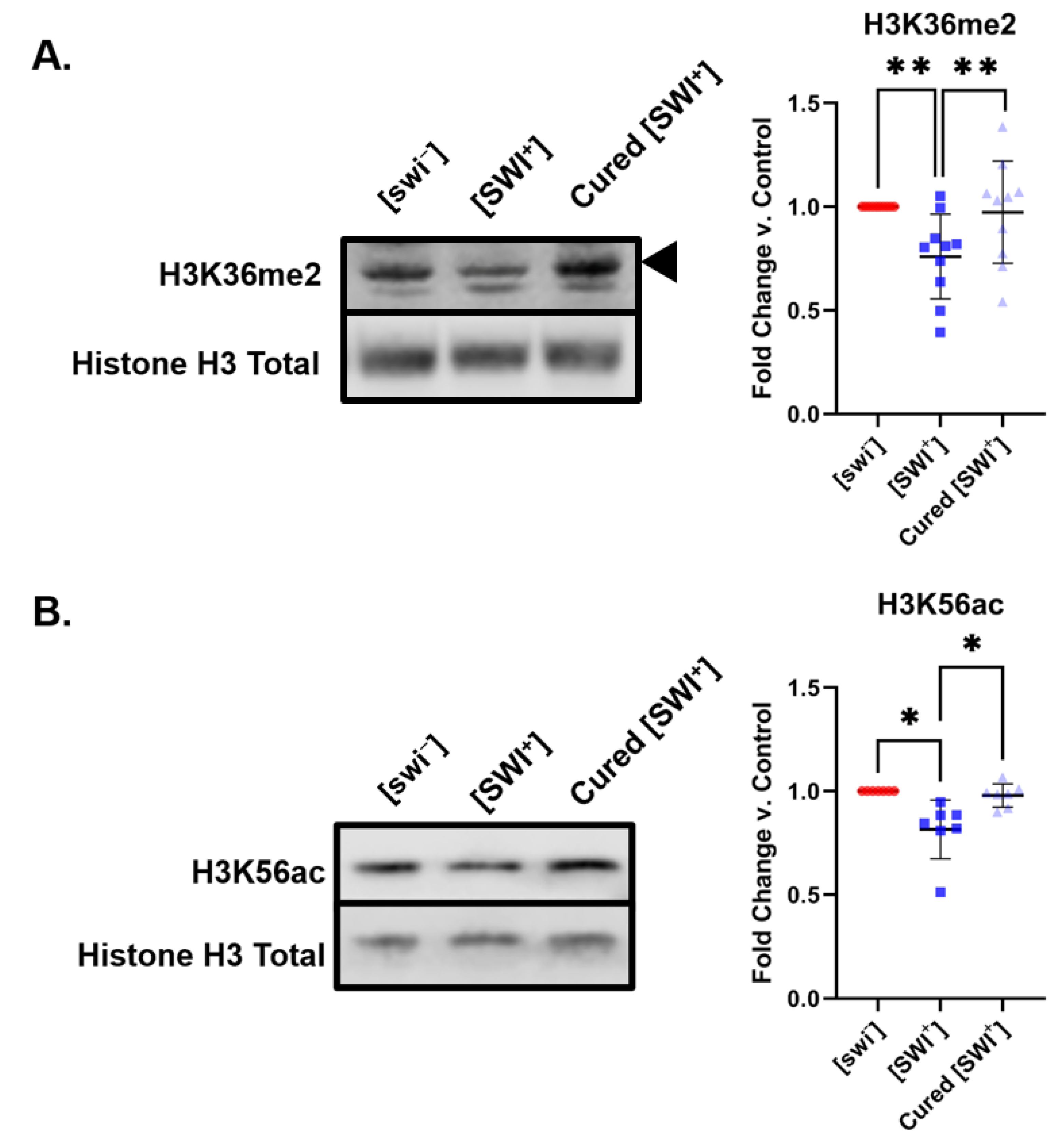Pathogens 11 01436 g003 Pathogens 11 01436 g003