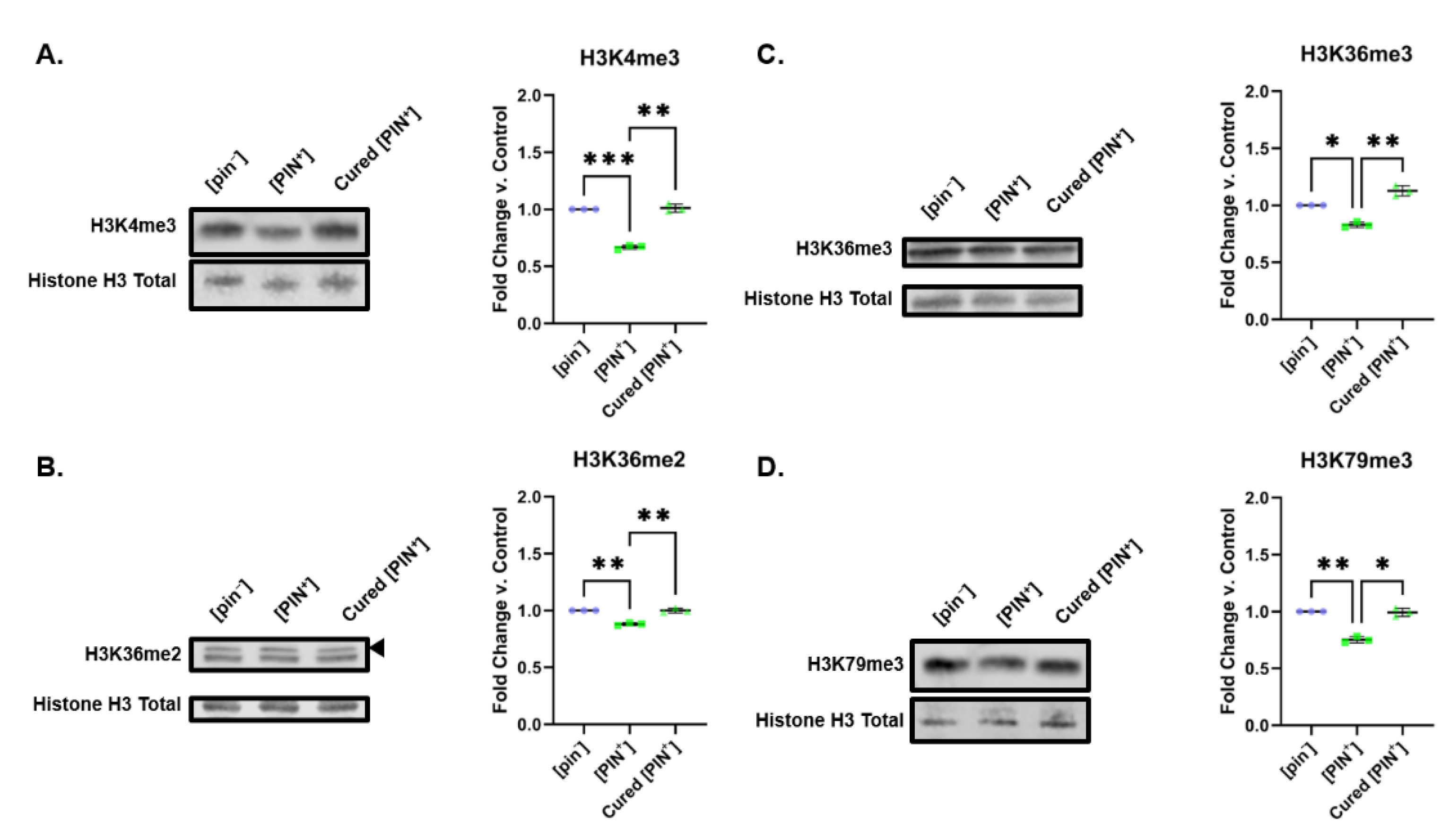 Pathogens 11 01436 g006 Pathogens 11 01436 g006