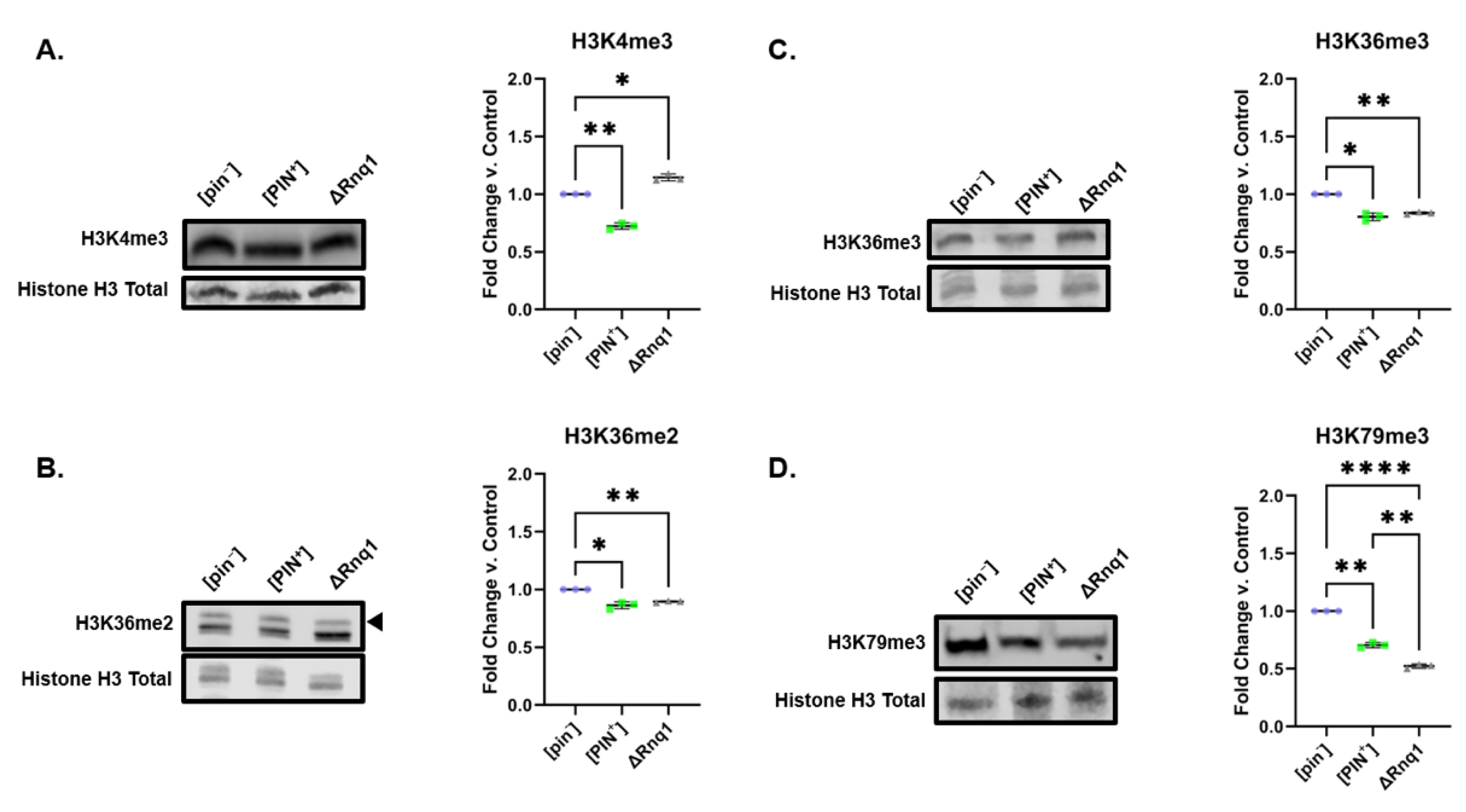 Pathogens 11 01436 g007 Pathogens 11 01436 g007