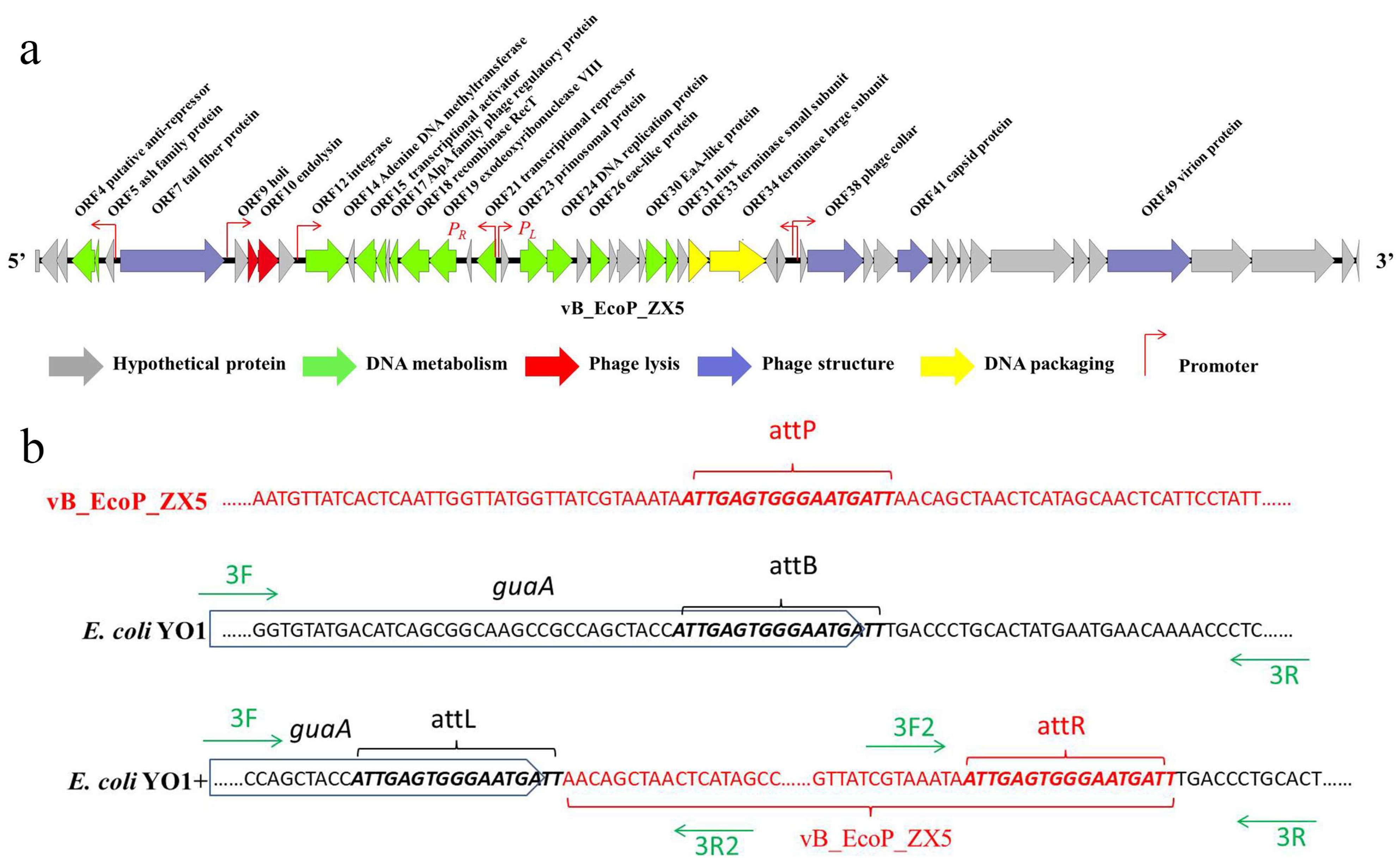 Pathogens 11 01445 g003 Pathogens 11 01445 g003