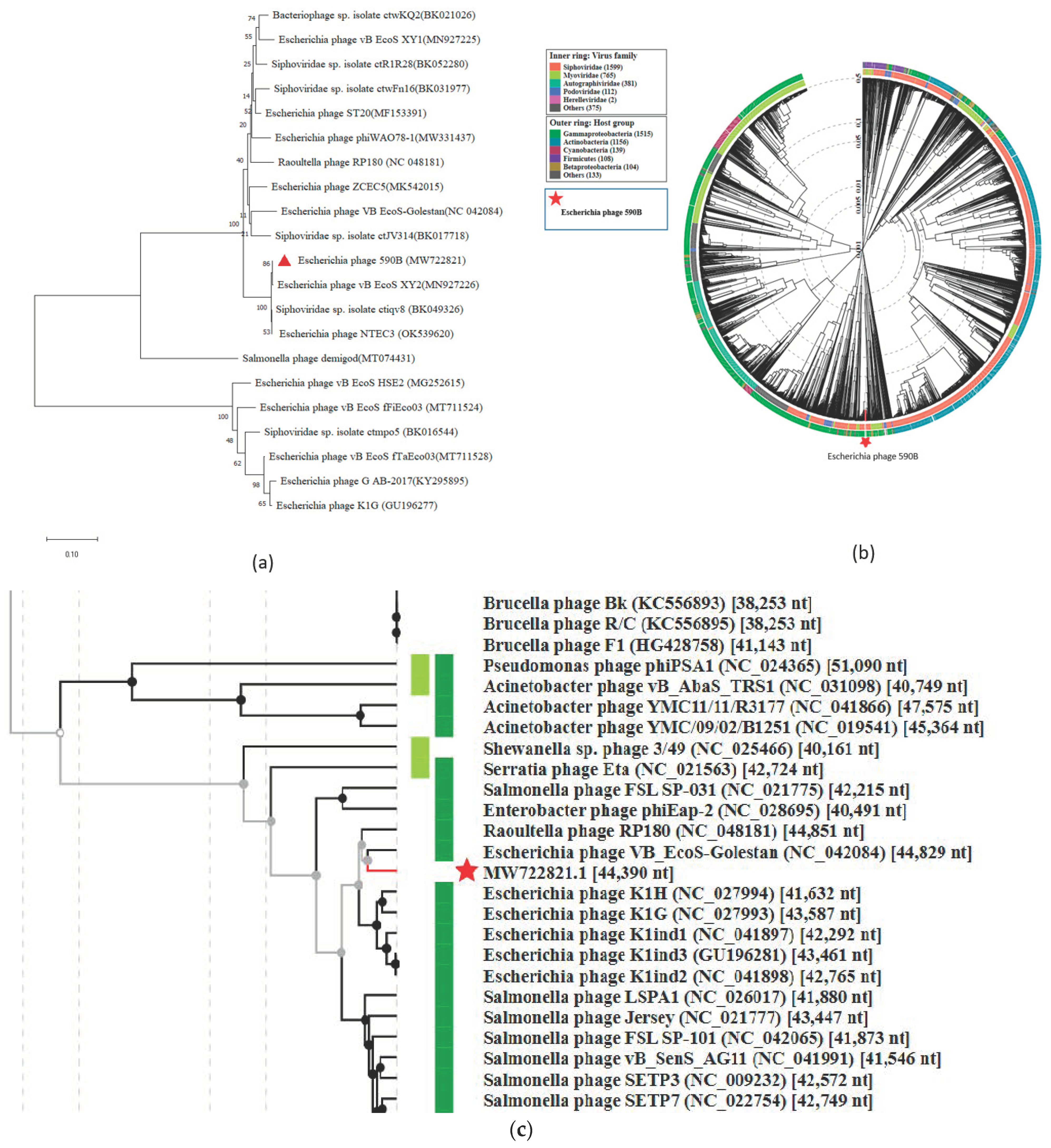Pathogens 11 01448 g007 Pathogens 11 01448 g007