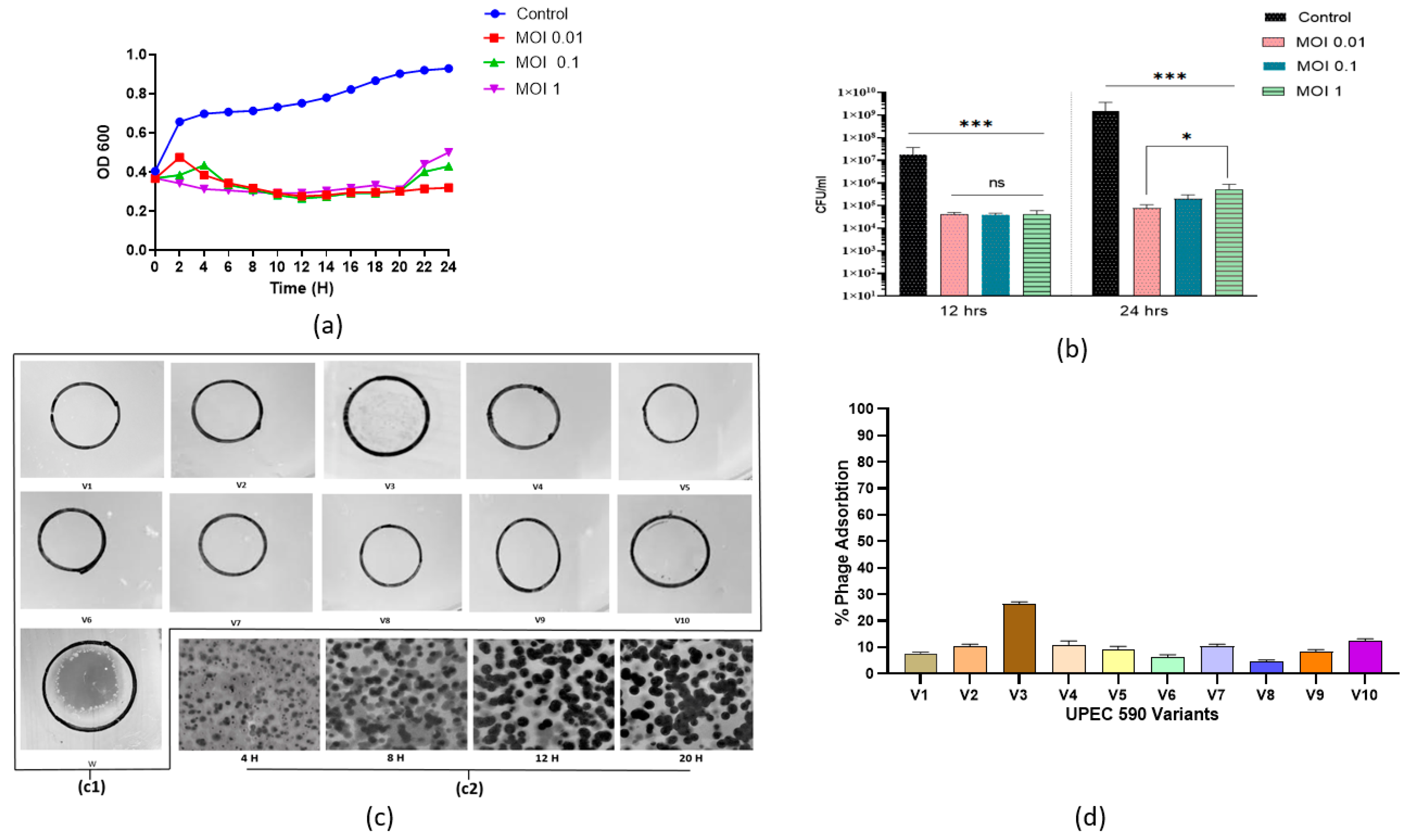 Pathogens 11 01448 g011 Pathogens 11 01448 g011