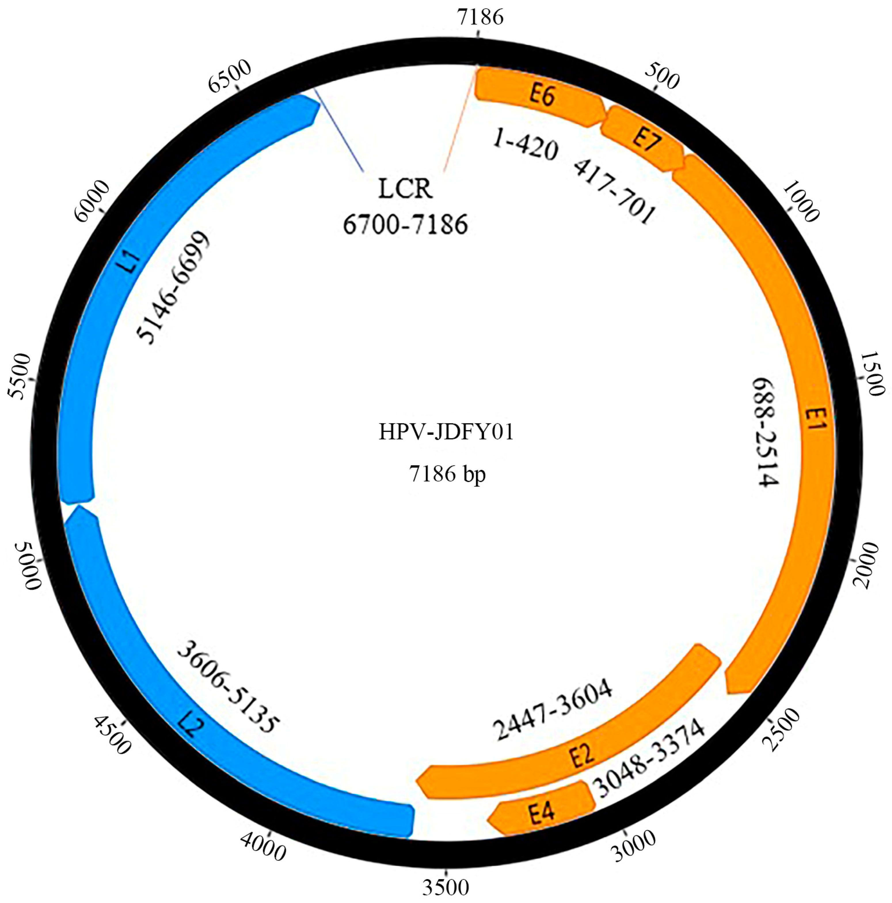 Pathogens 11 01452 g001 Pathogens 11 01452 g001