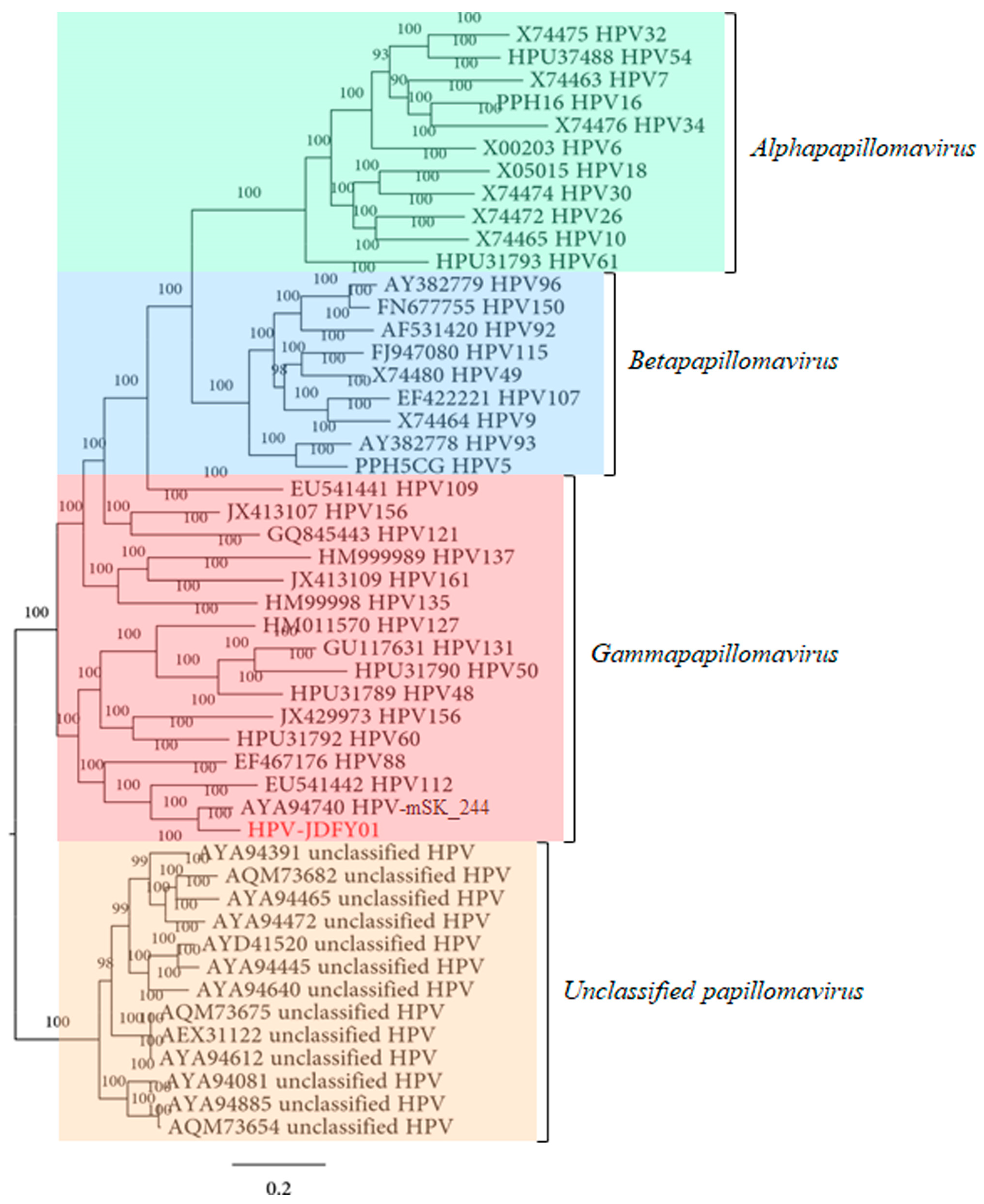 Pathogens 11 01452 g002 Pathogens 11 01452 g002