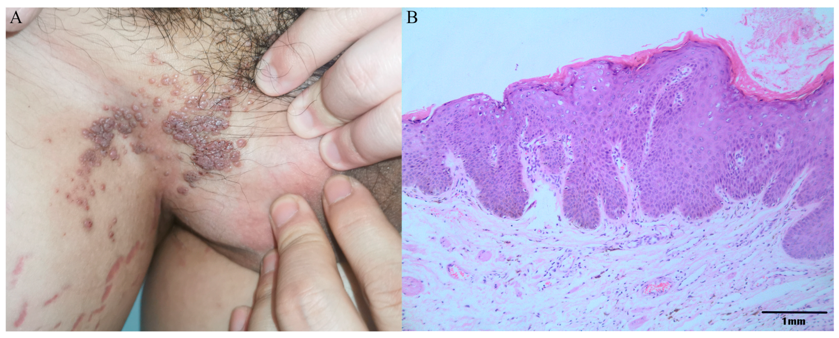 Pathogens 11 01452 g003 Pathogens 11 01452 g003