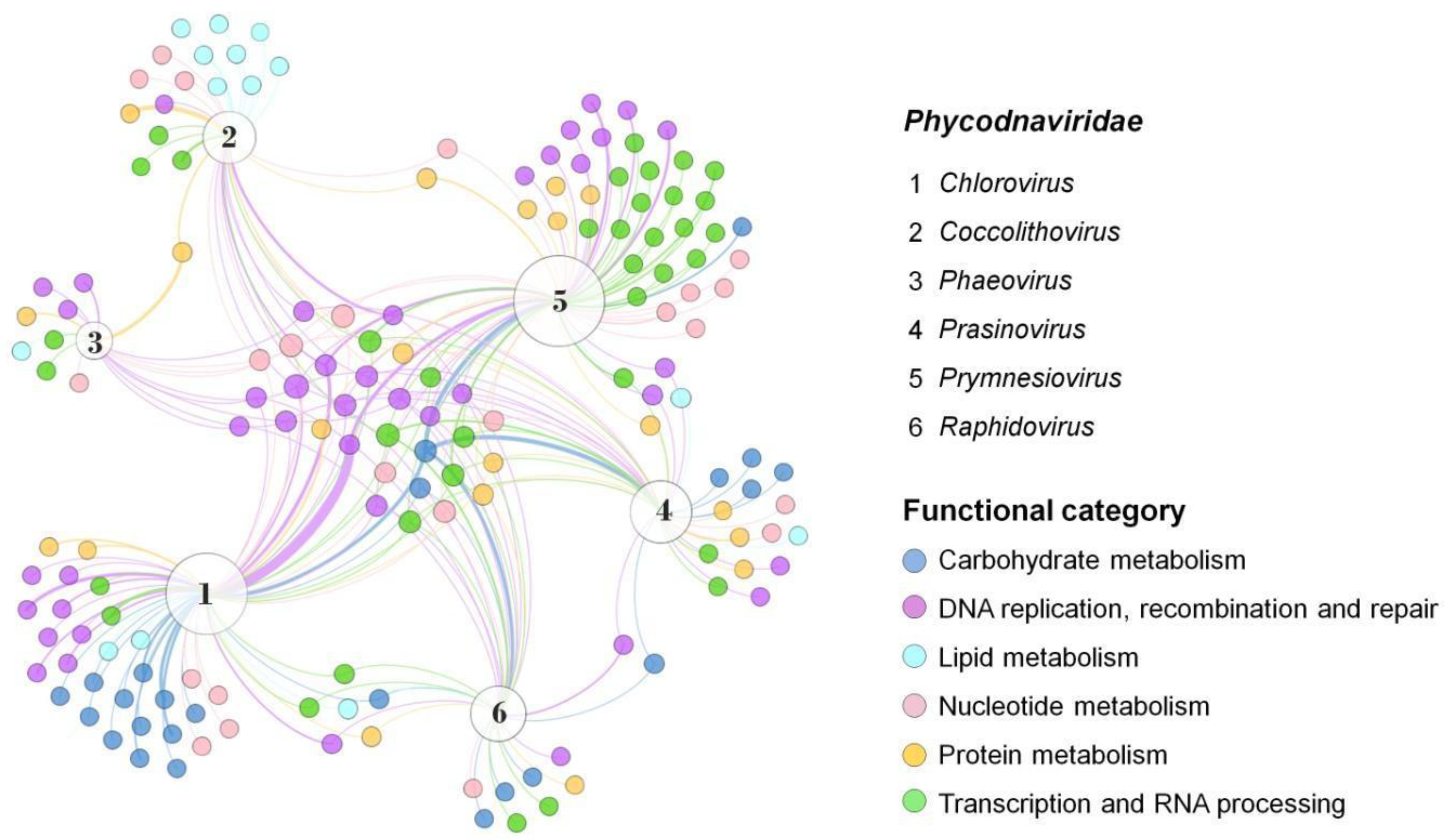 Pathogens 11 01453 g002