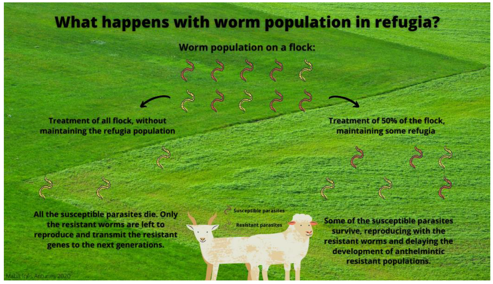 Pathogens 11 01457 g001