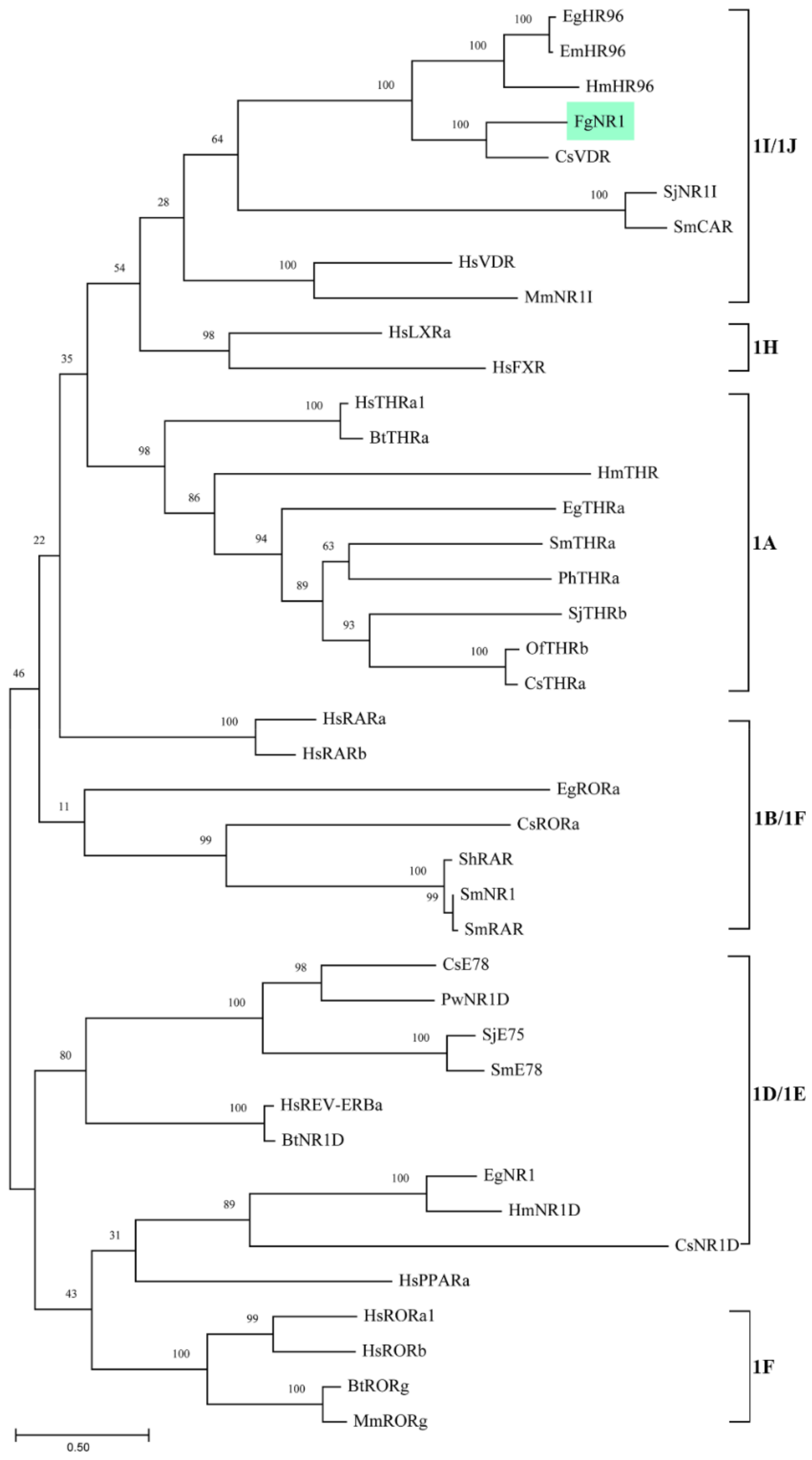 Pathogens 11 01458 g002