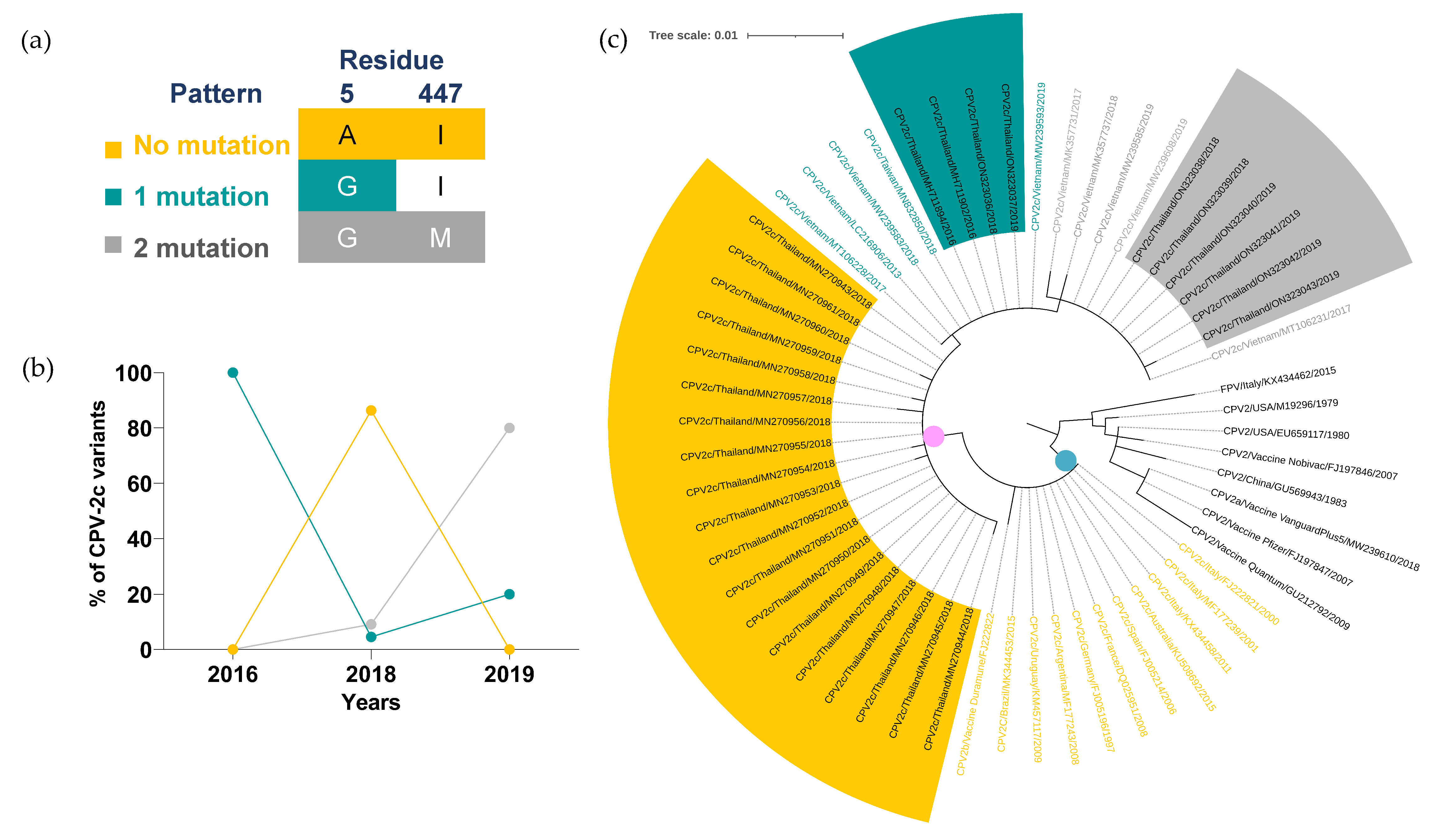 Pathogens 11 01460 g004