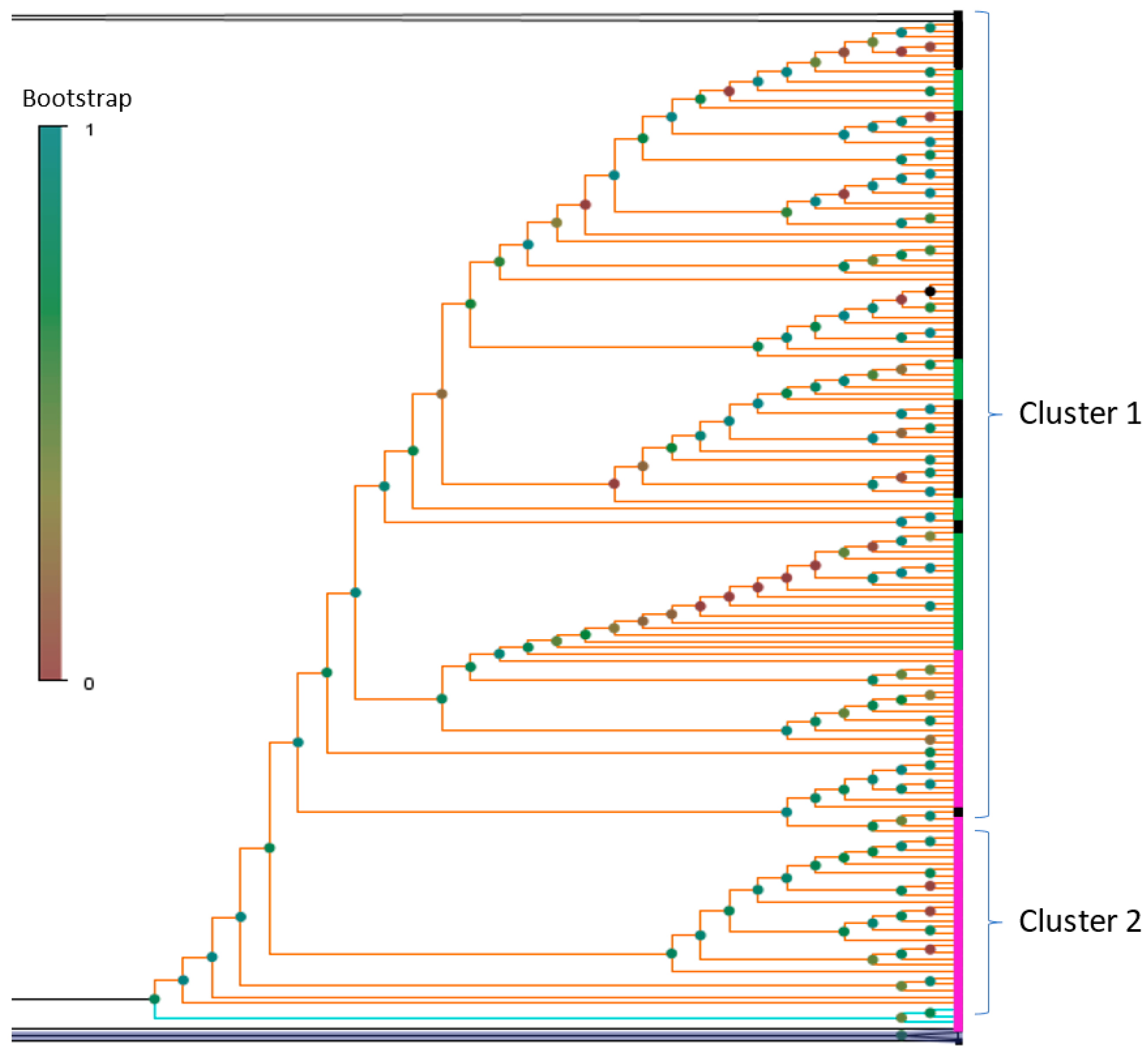 Pathogens 11 01461 g007 Pathogens 11 01461 g007