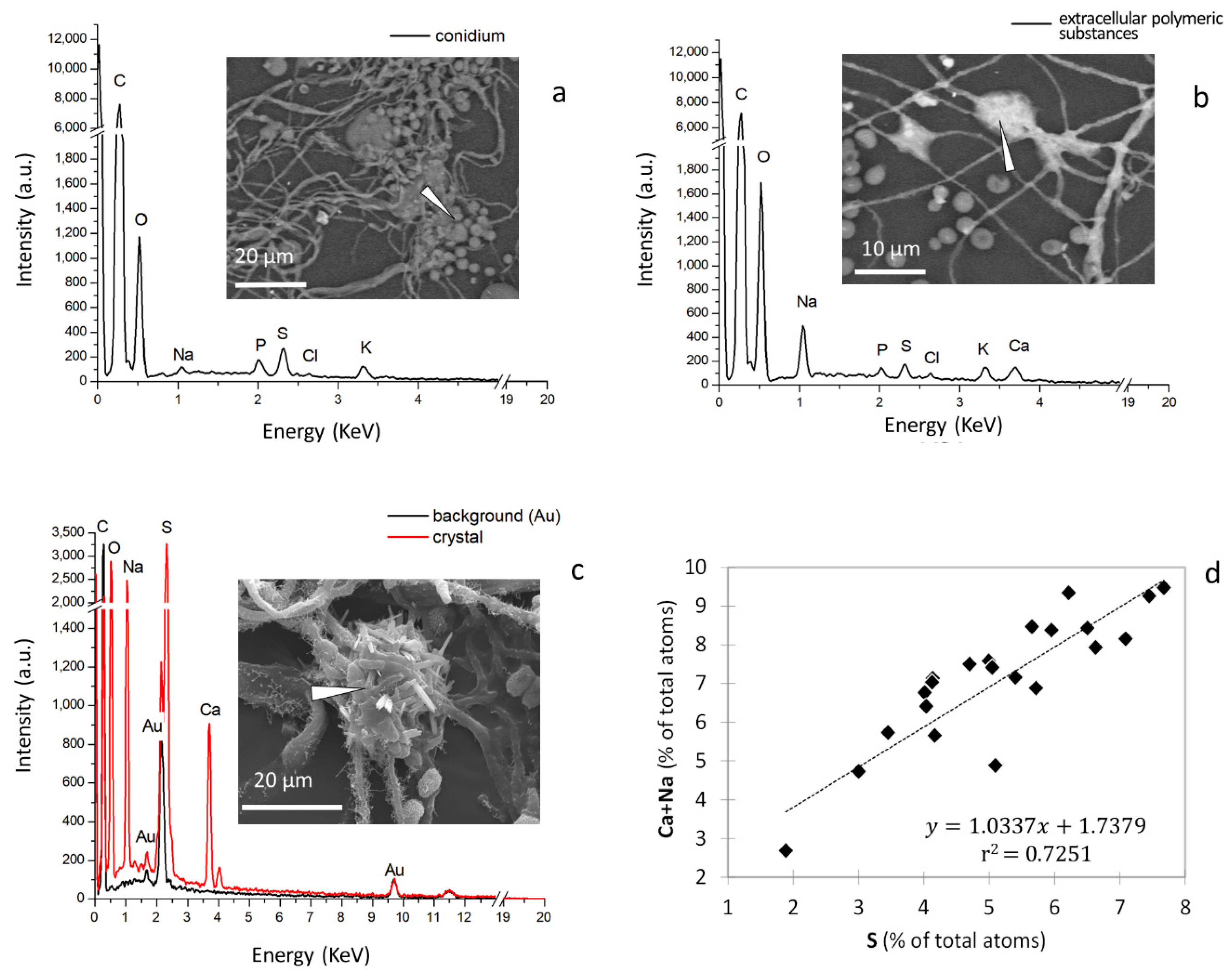 Pathogens 11 01462 g003 Pathogens 11 01462 g003