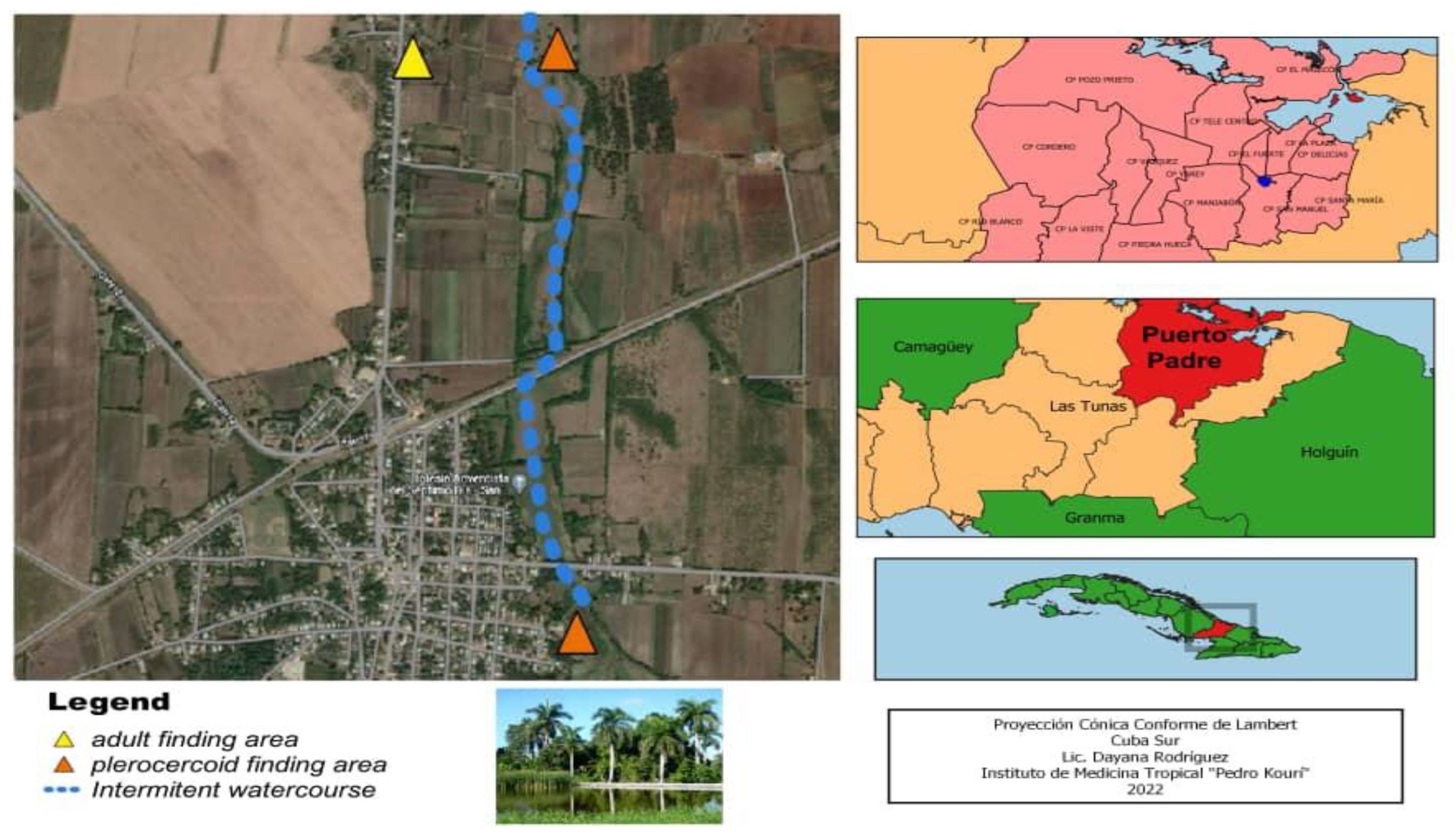 Pathogens 11 01468 g001