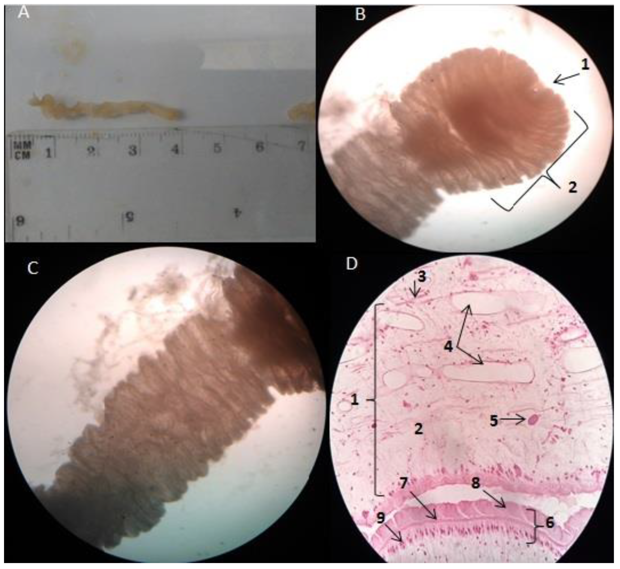 Pathogens 11 01468 g002