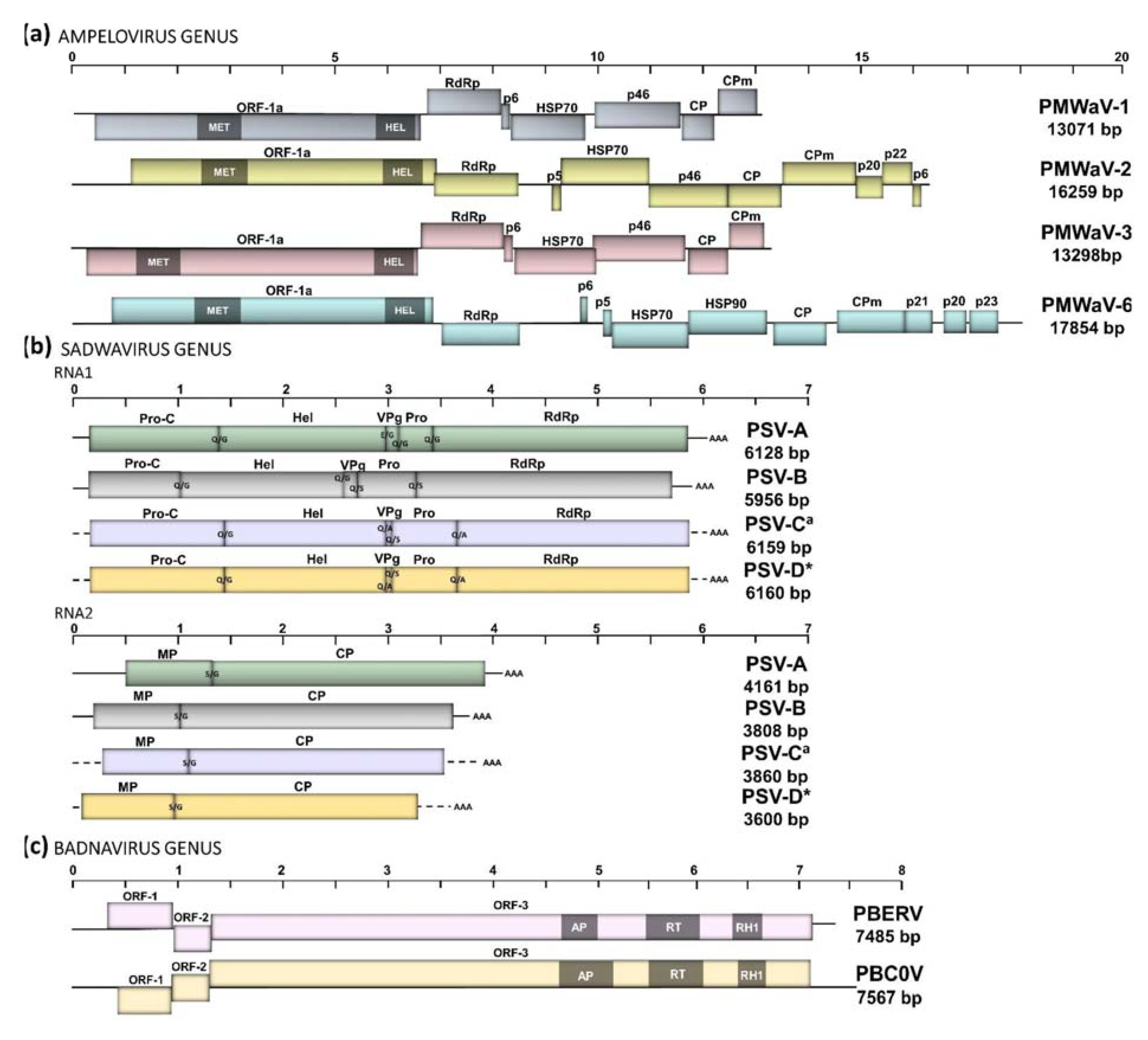 Pathogens 11 01470 g001