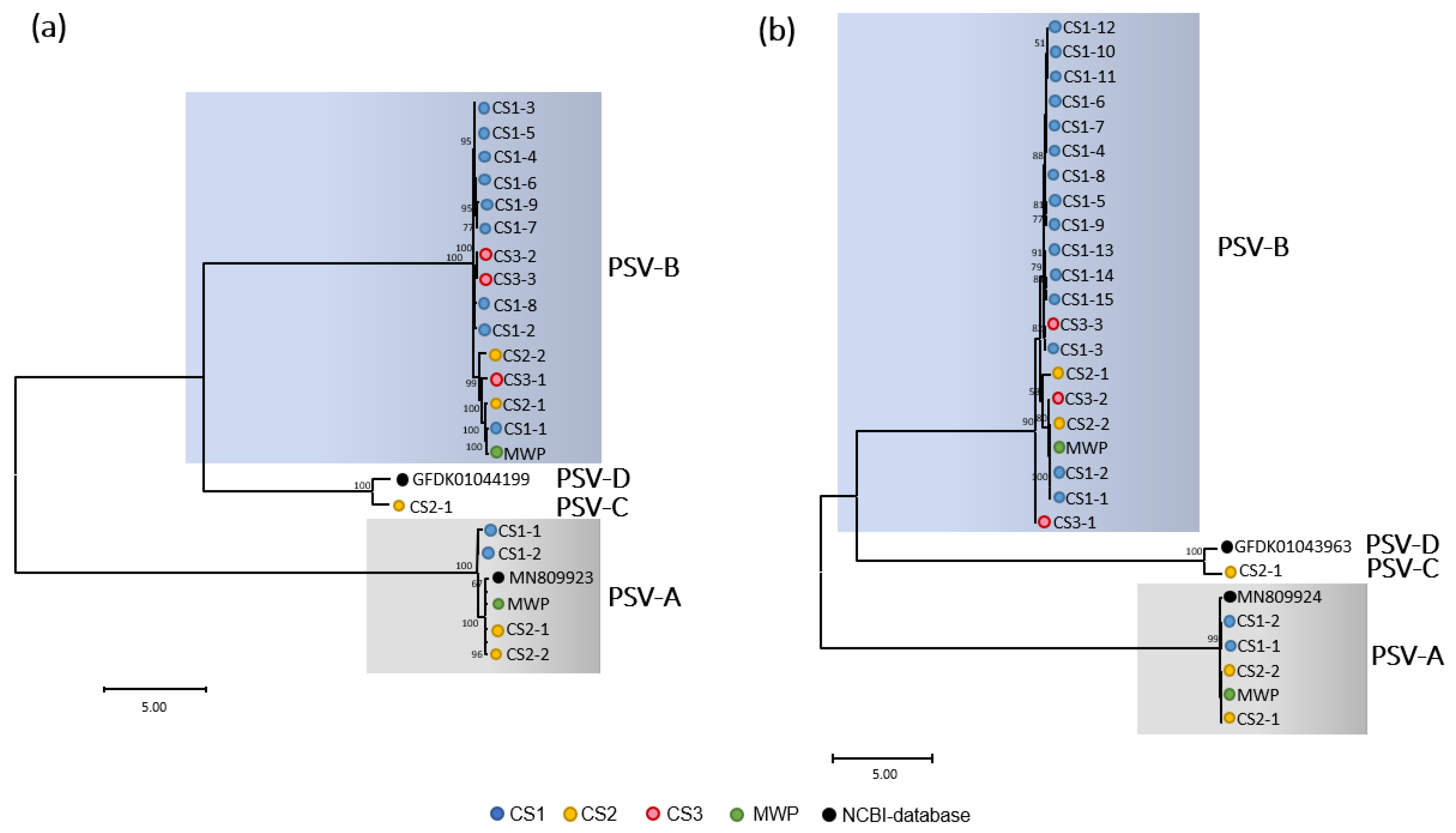 Pathogens 11 01470 g004