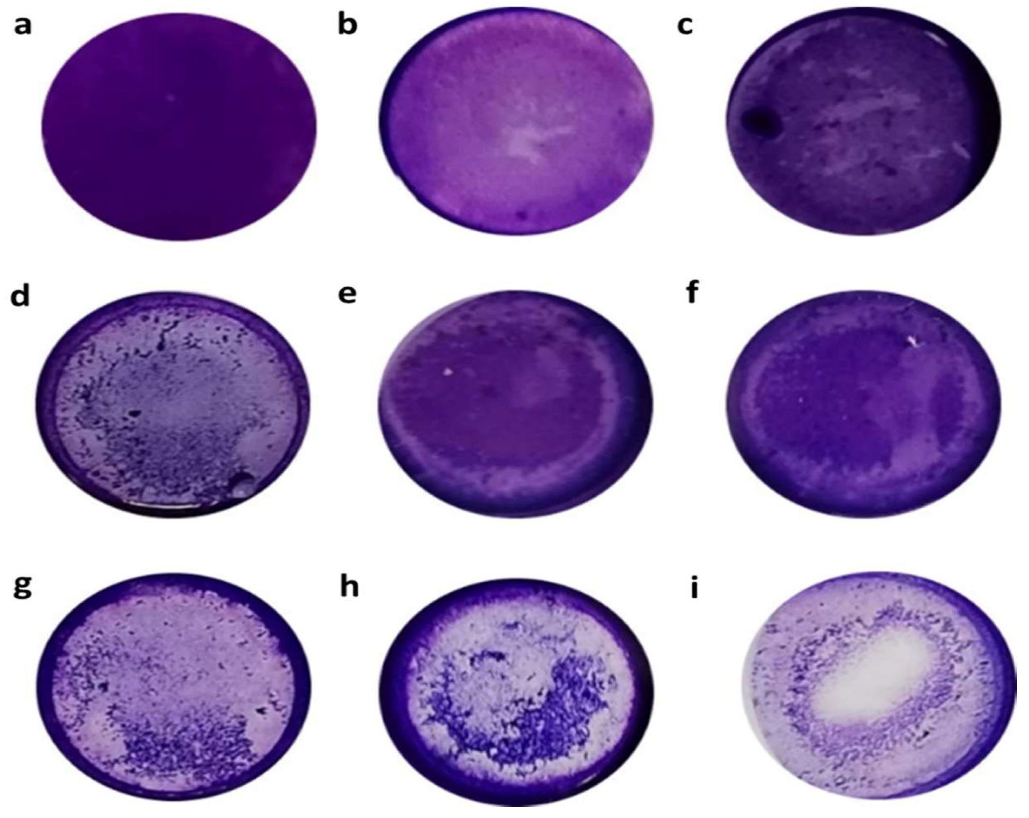 Pathogens 11 01474 g003