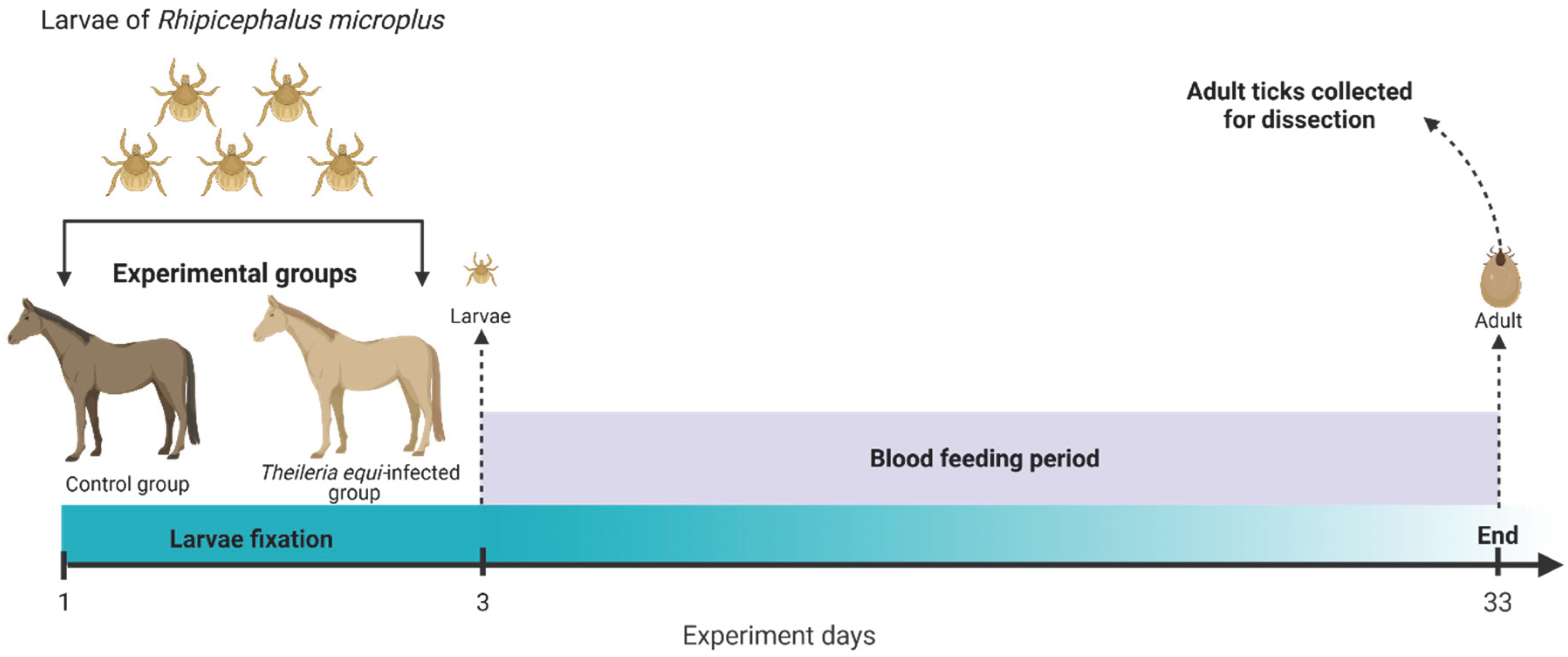 Pathogens 11 01478 g002 Pathogens 11 01478 g002