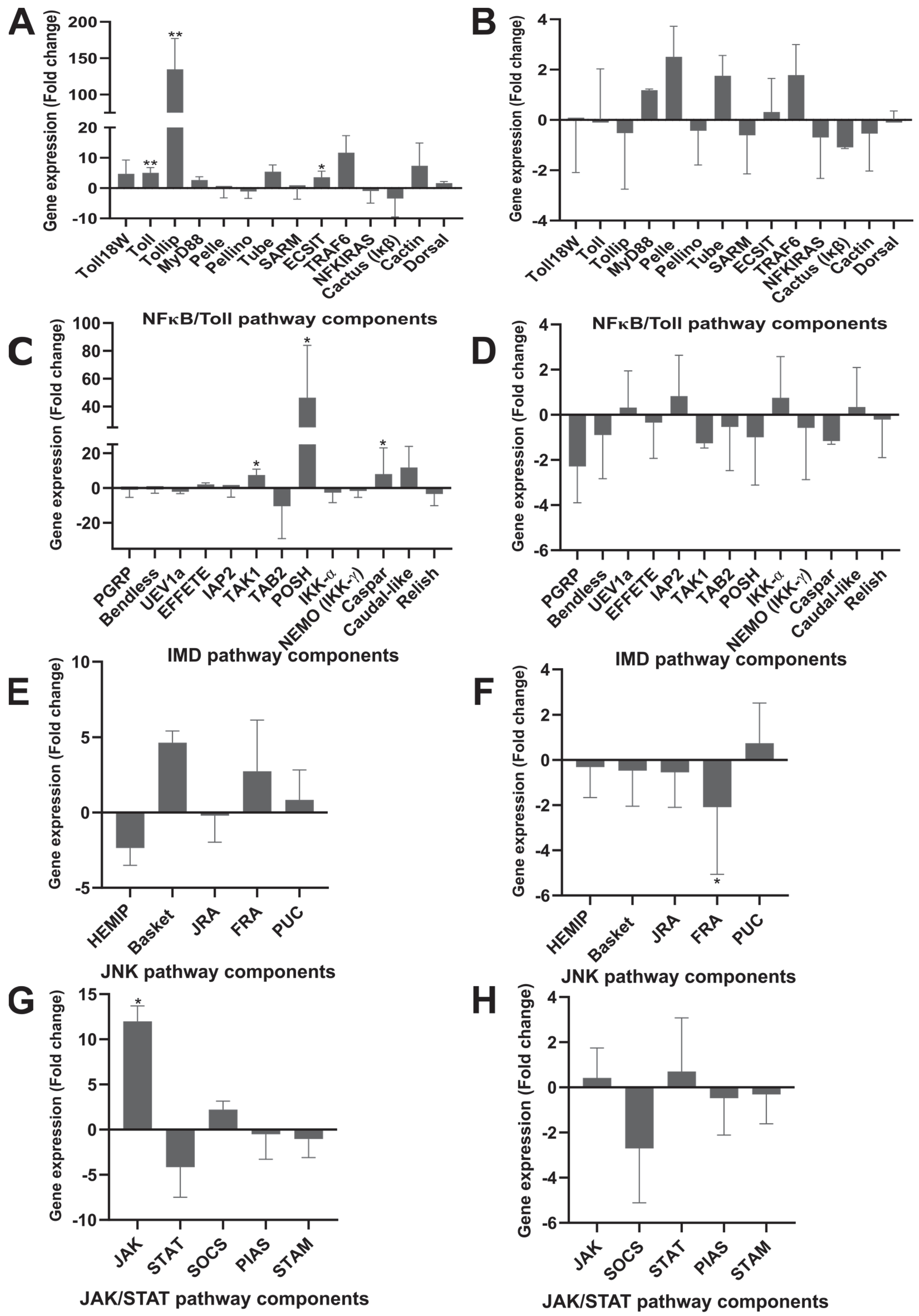 Pathogens 11 01478 g003 Pathogens 11 01478 g003