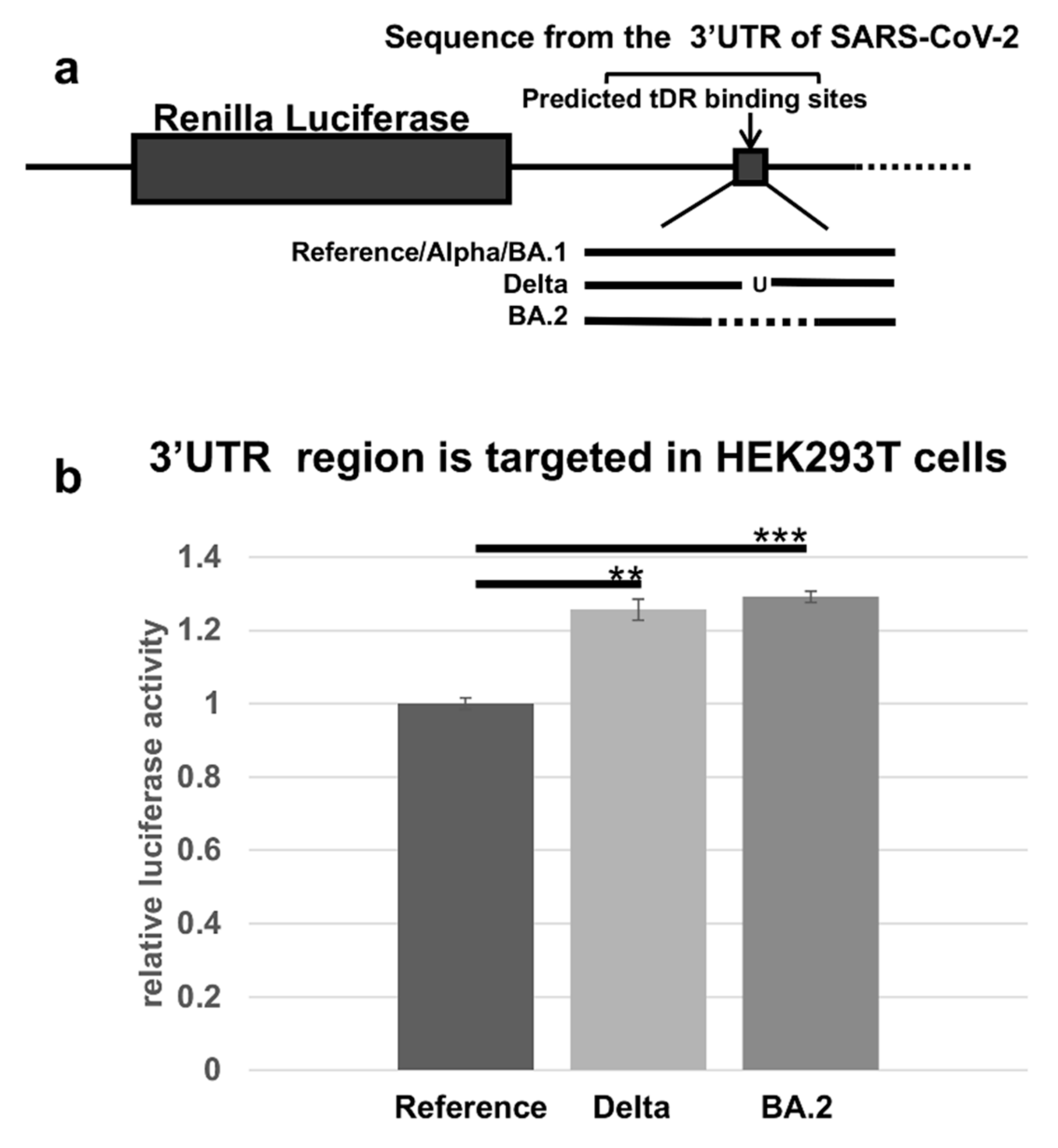 Pathogens 11 01479 g003