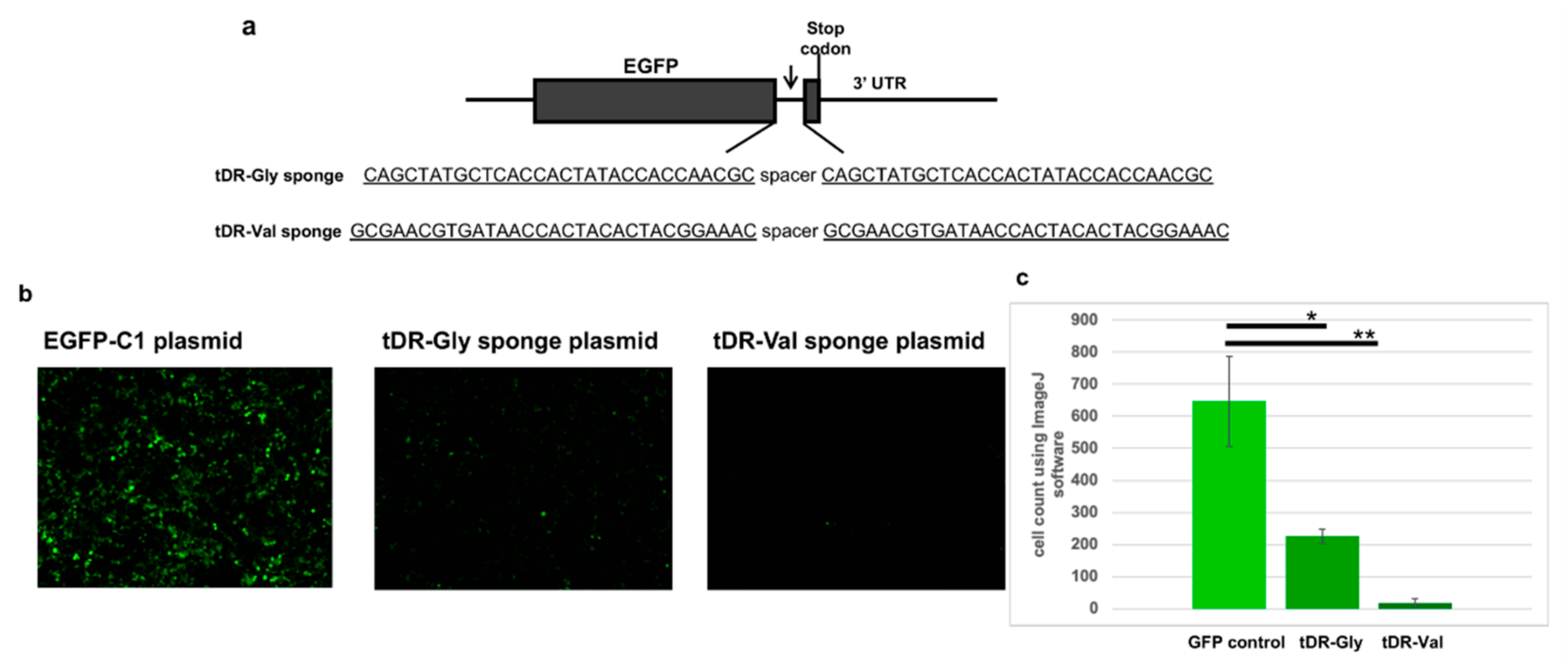 Pathogens 11 01479 g004