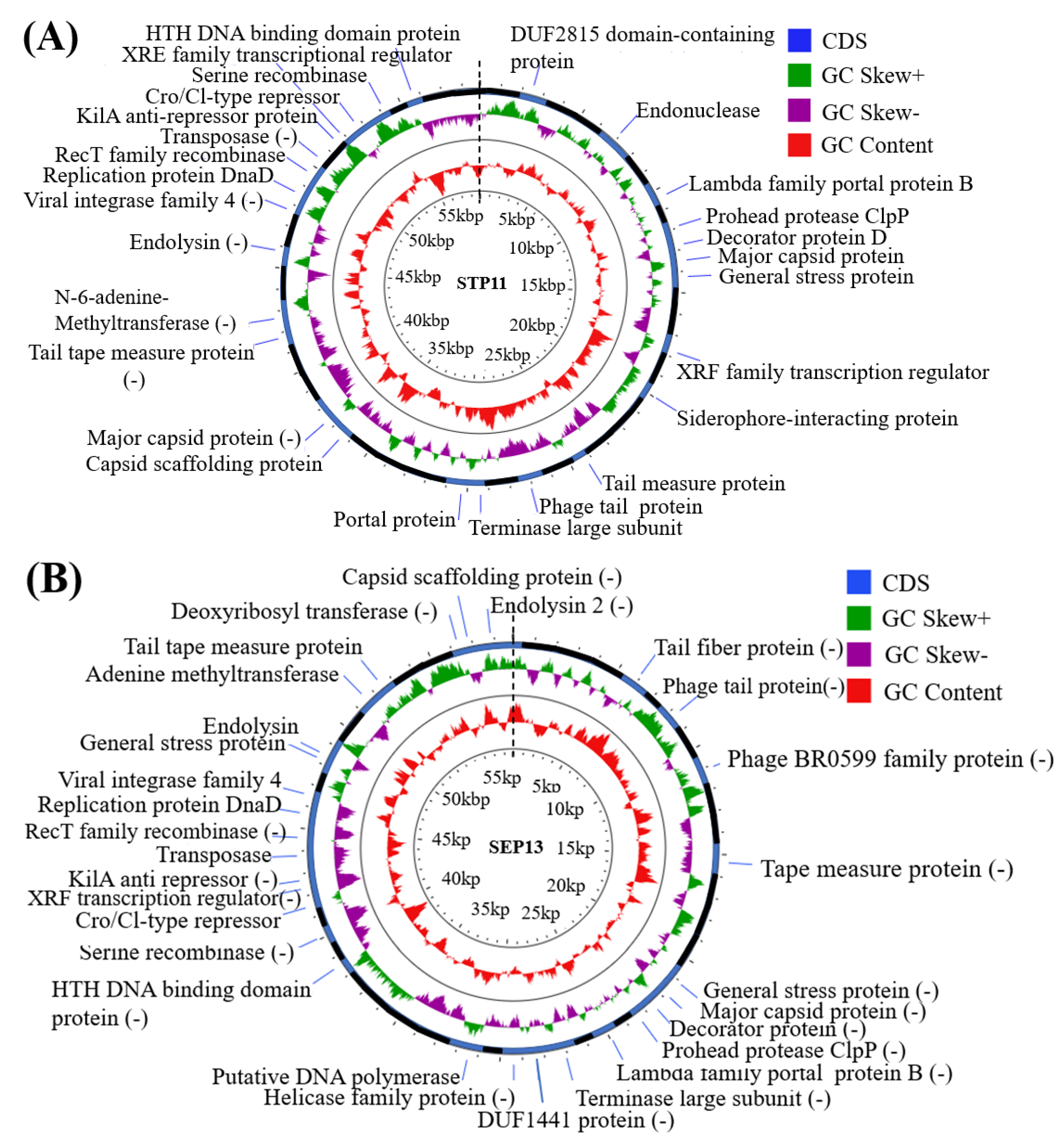 Pathogens 11 01480 g005