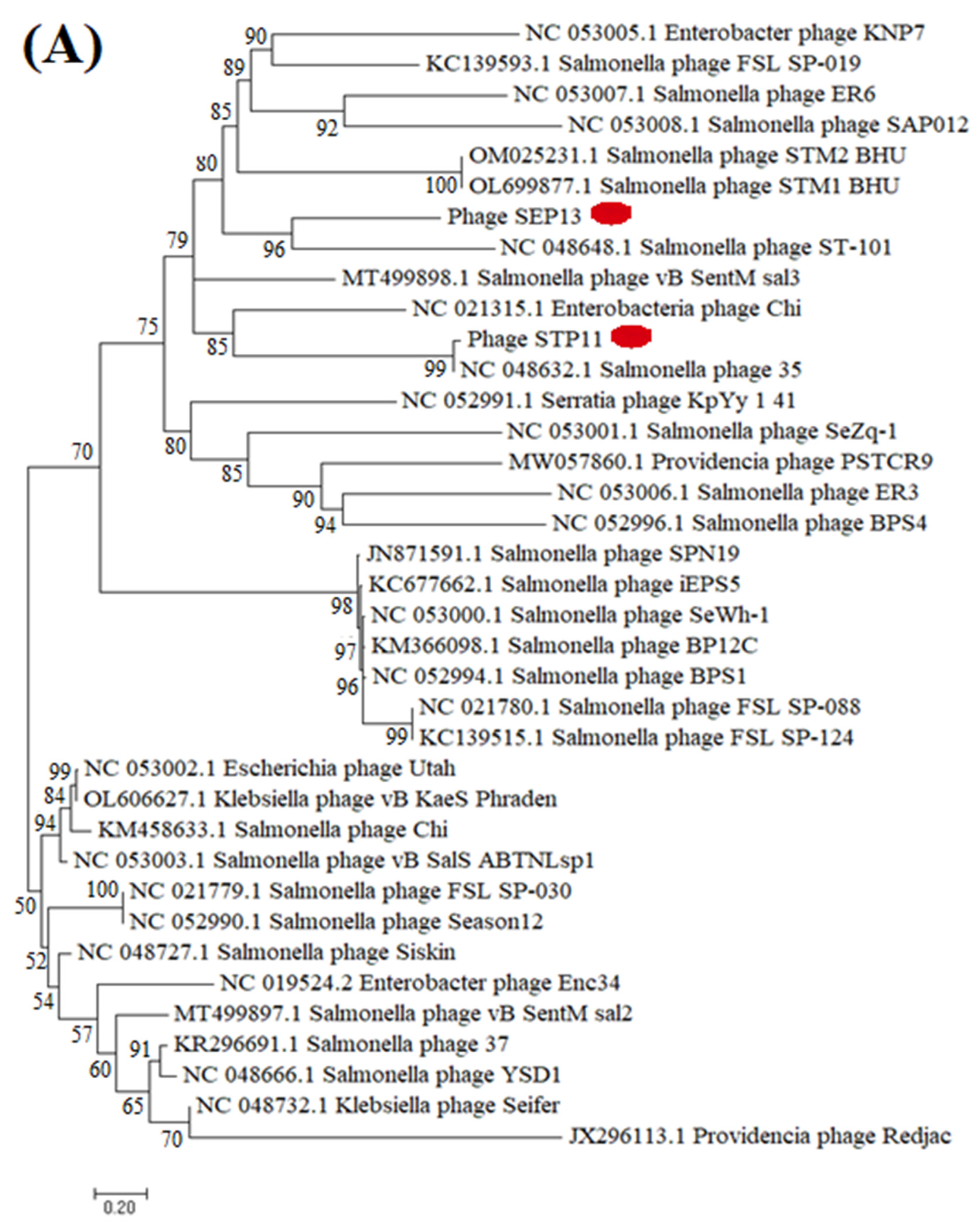 Pathogens 11 01480 g006a