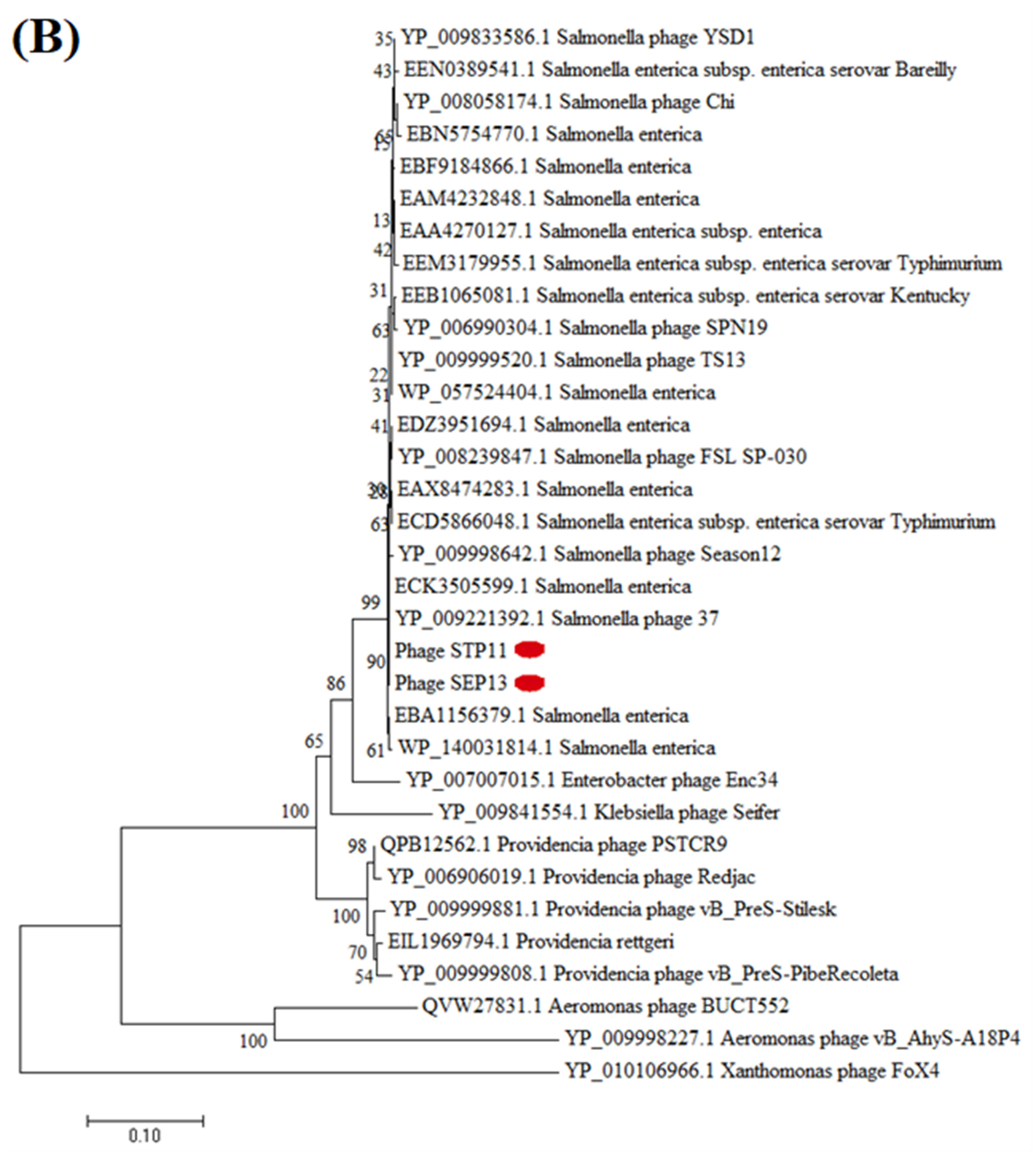 Pathogens 11 01480 g006b