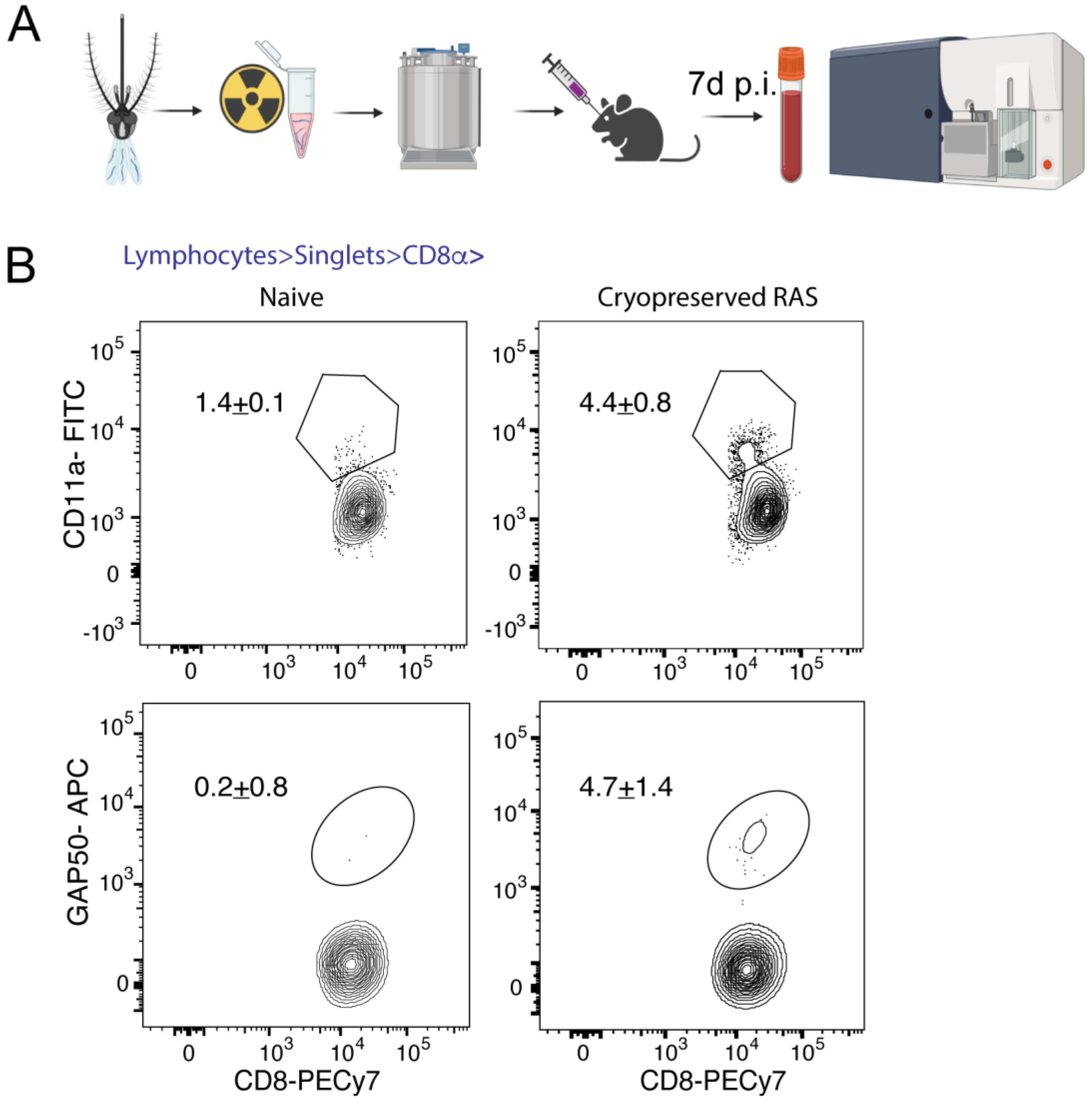 Pathogens 11 01487 g004