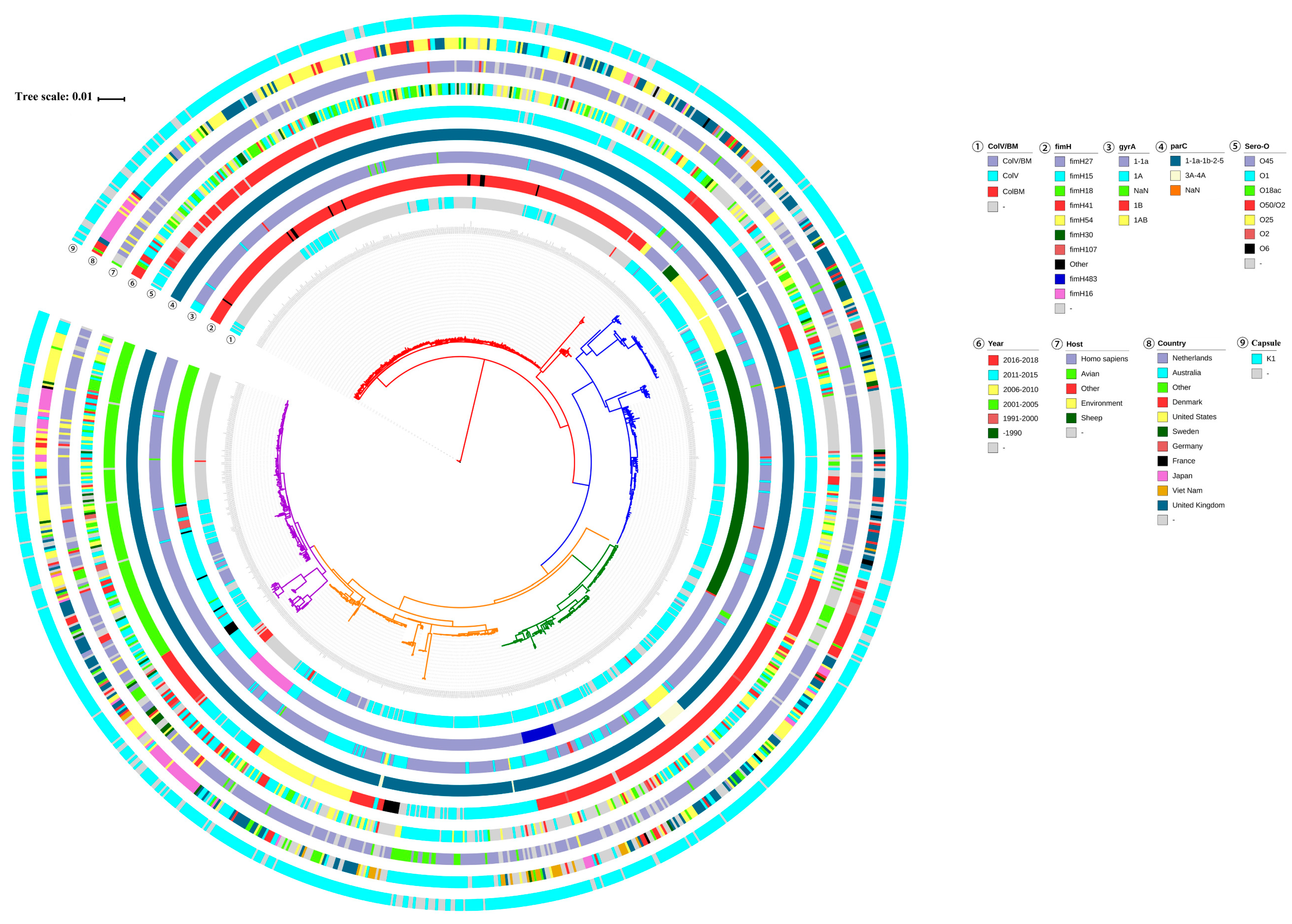 Pathogens 11 01489 g002 Pathogens 11 01489 g002