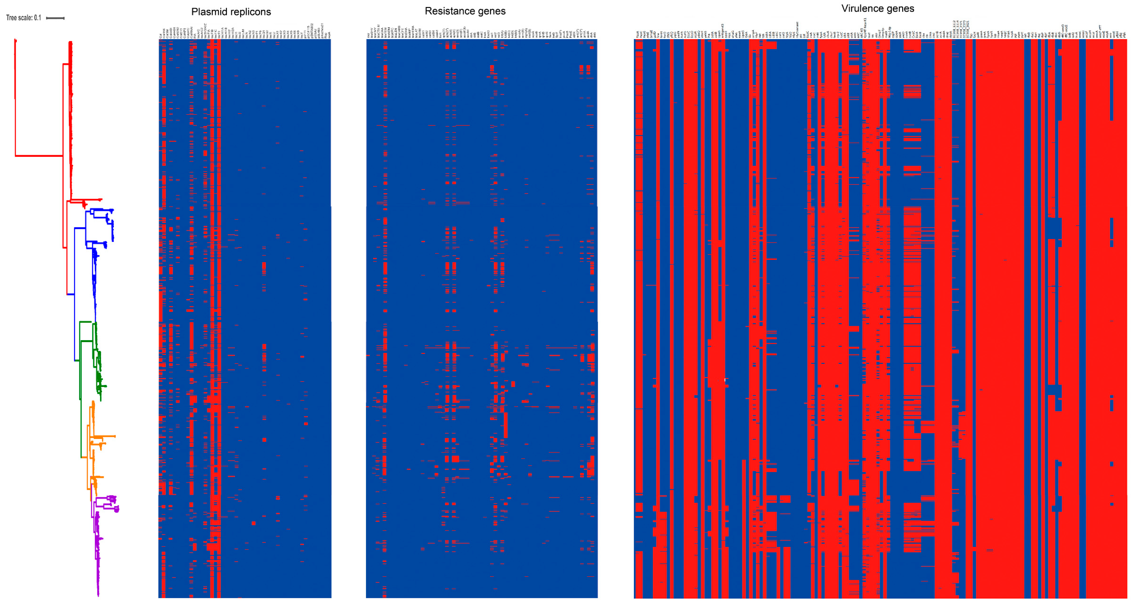 Pathogens 11 01489 g004 Pathogens 11 01489 g004