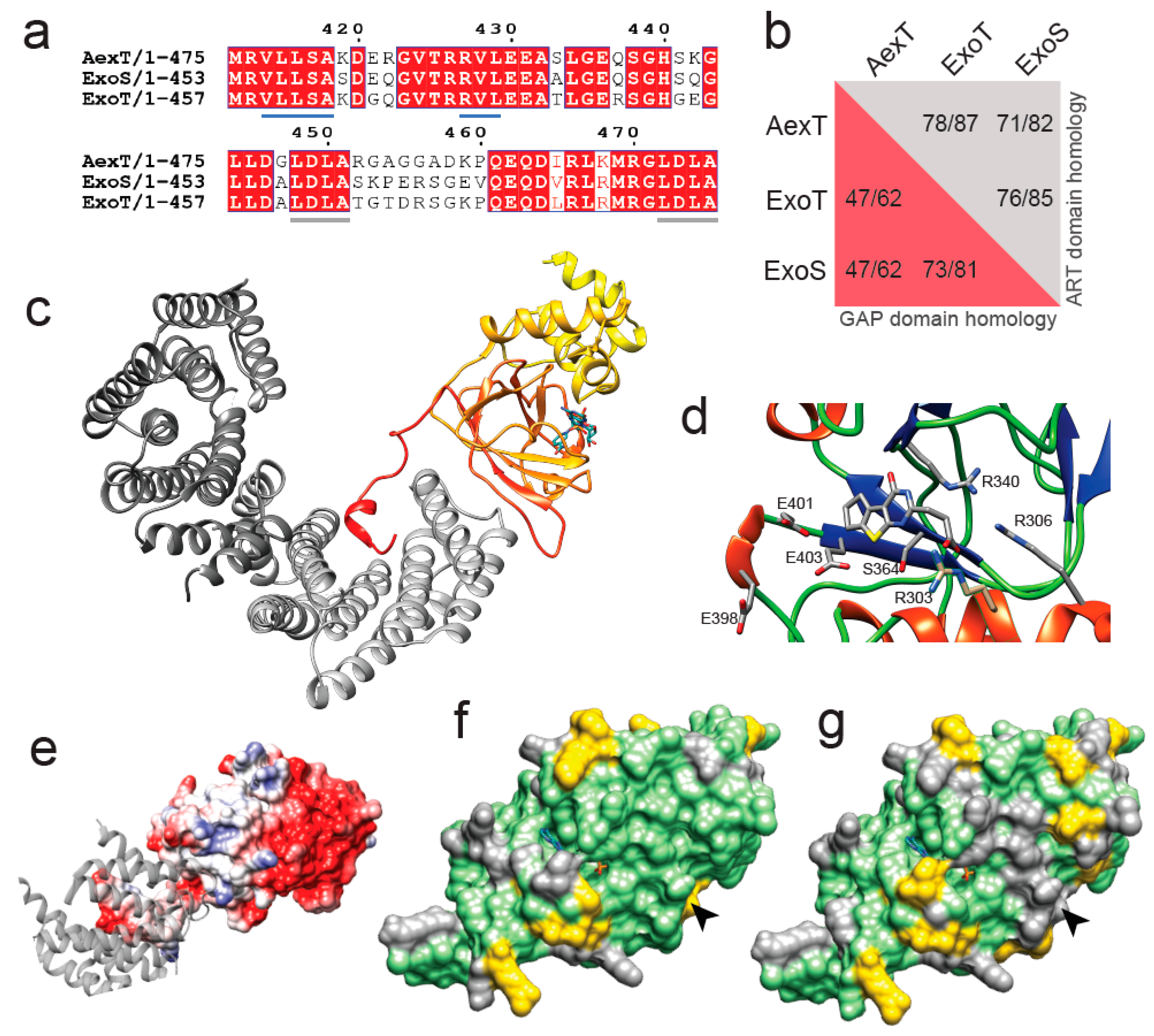 Pathogens 11 01497 g001 Pathogens 11 01497 g001