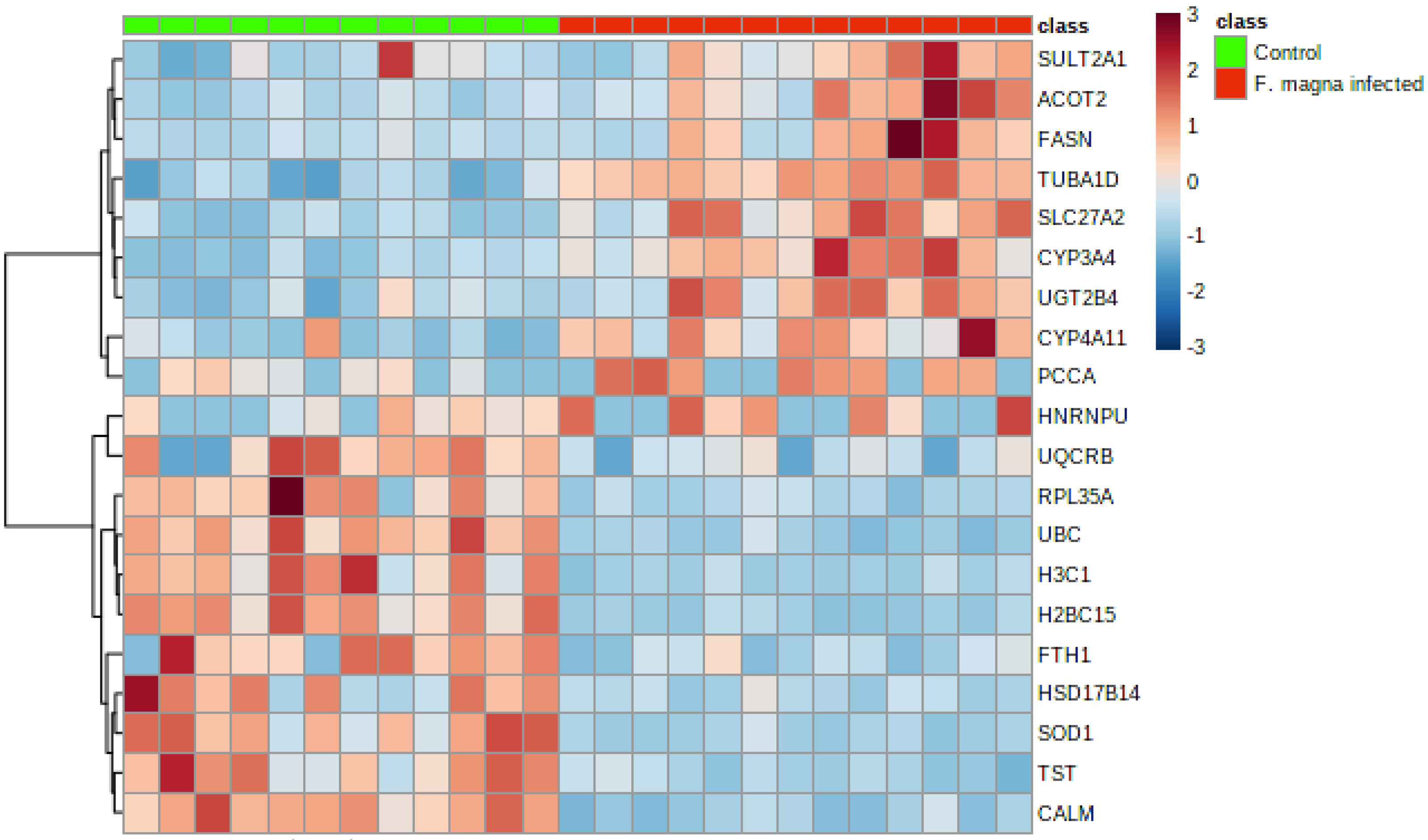 Pathogens 11 01503 g003