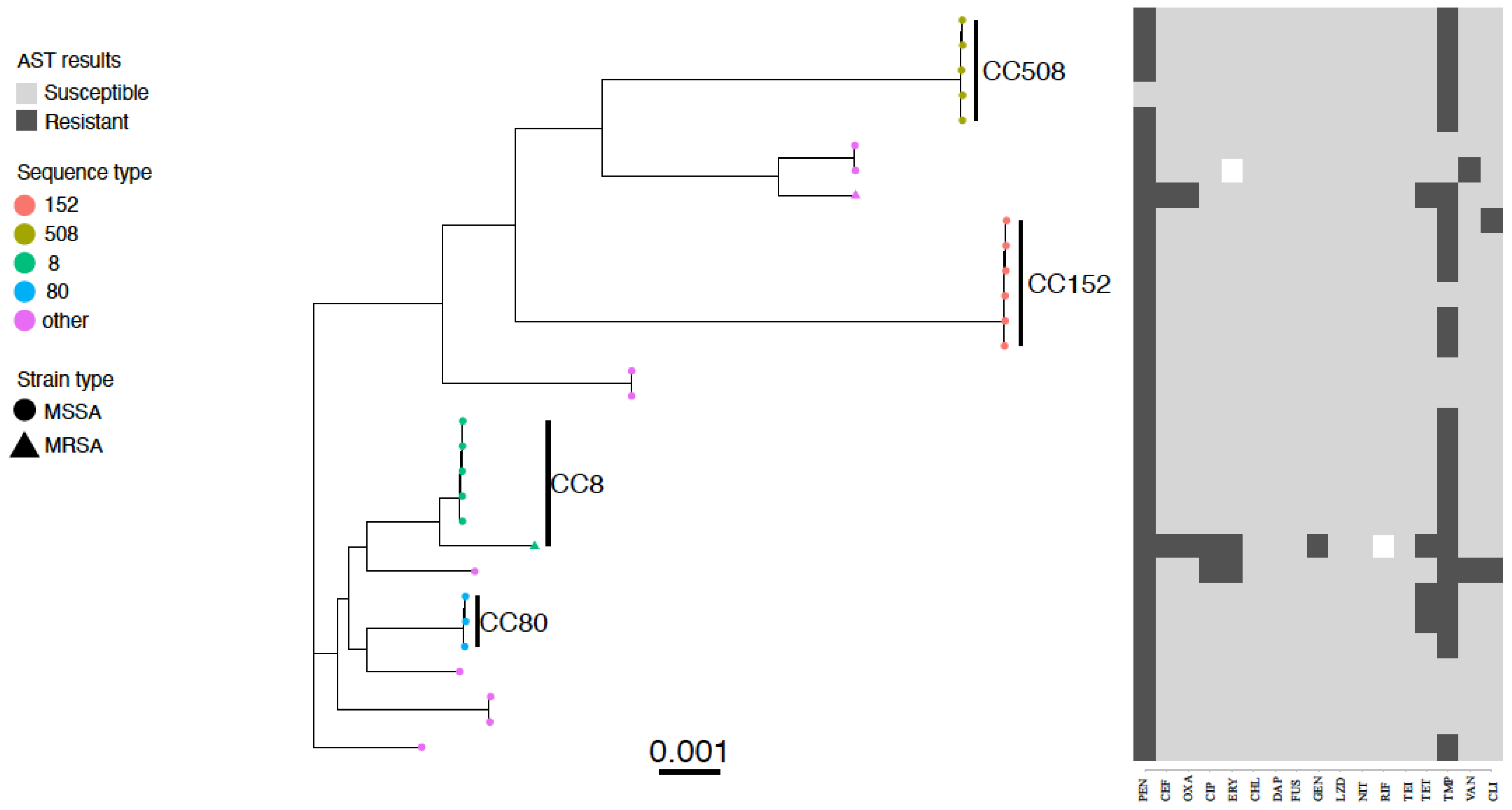 Pathogens 11 01504 g001
