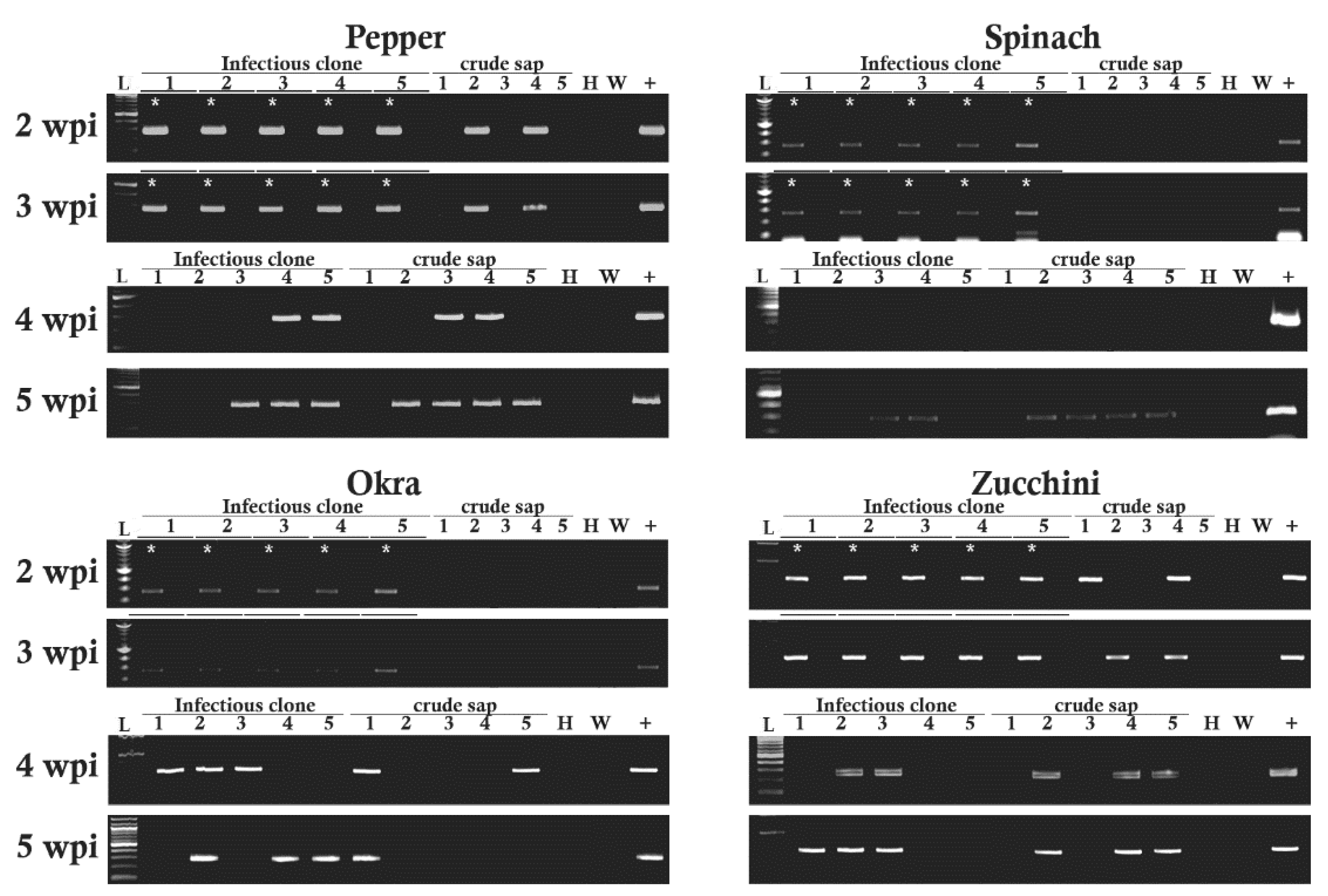 Pathogens 11 01514 g004 Pathogens 11 01514 g004