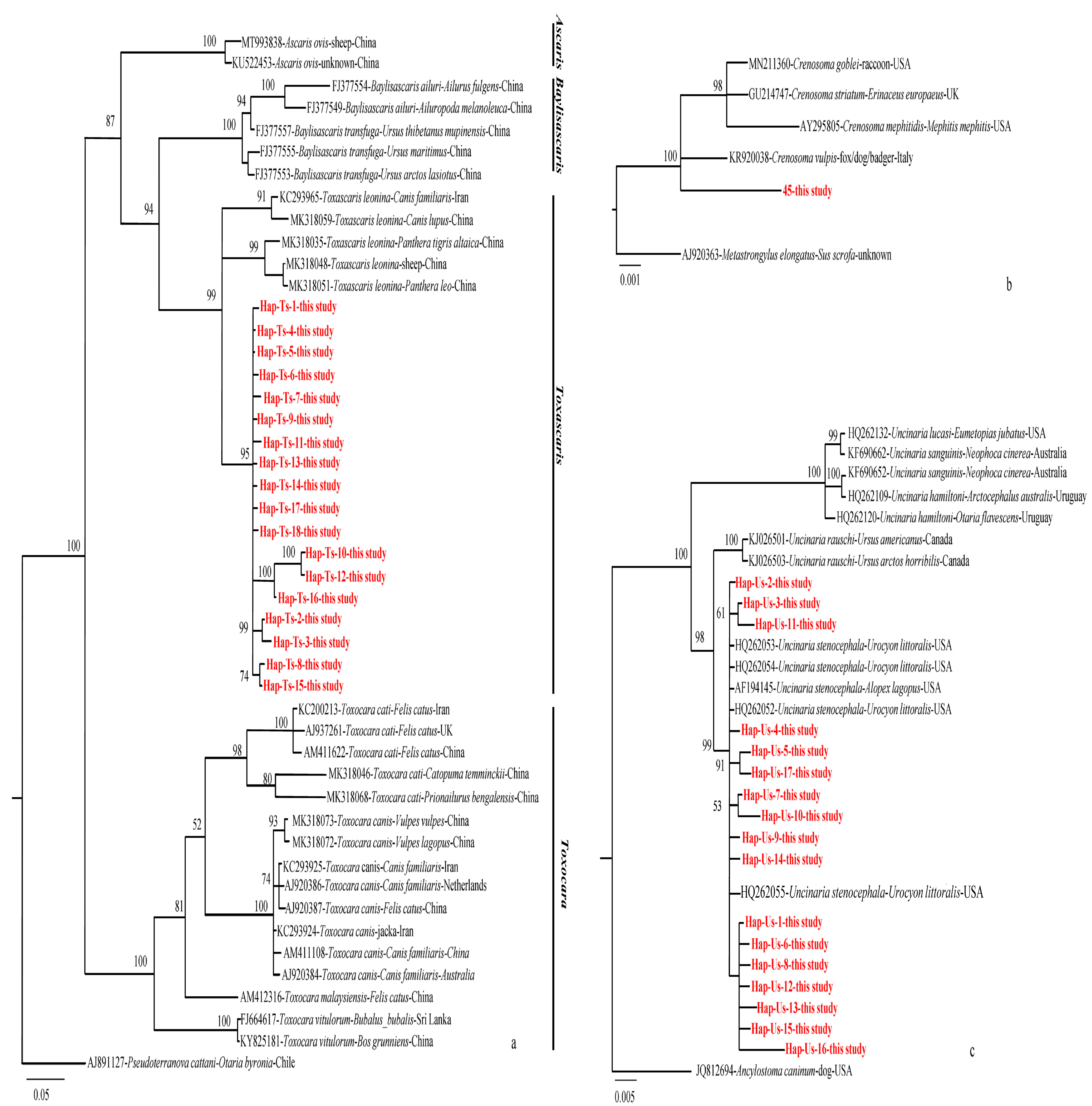 Pathogens 11 01520 g003