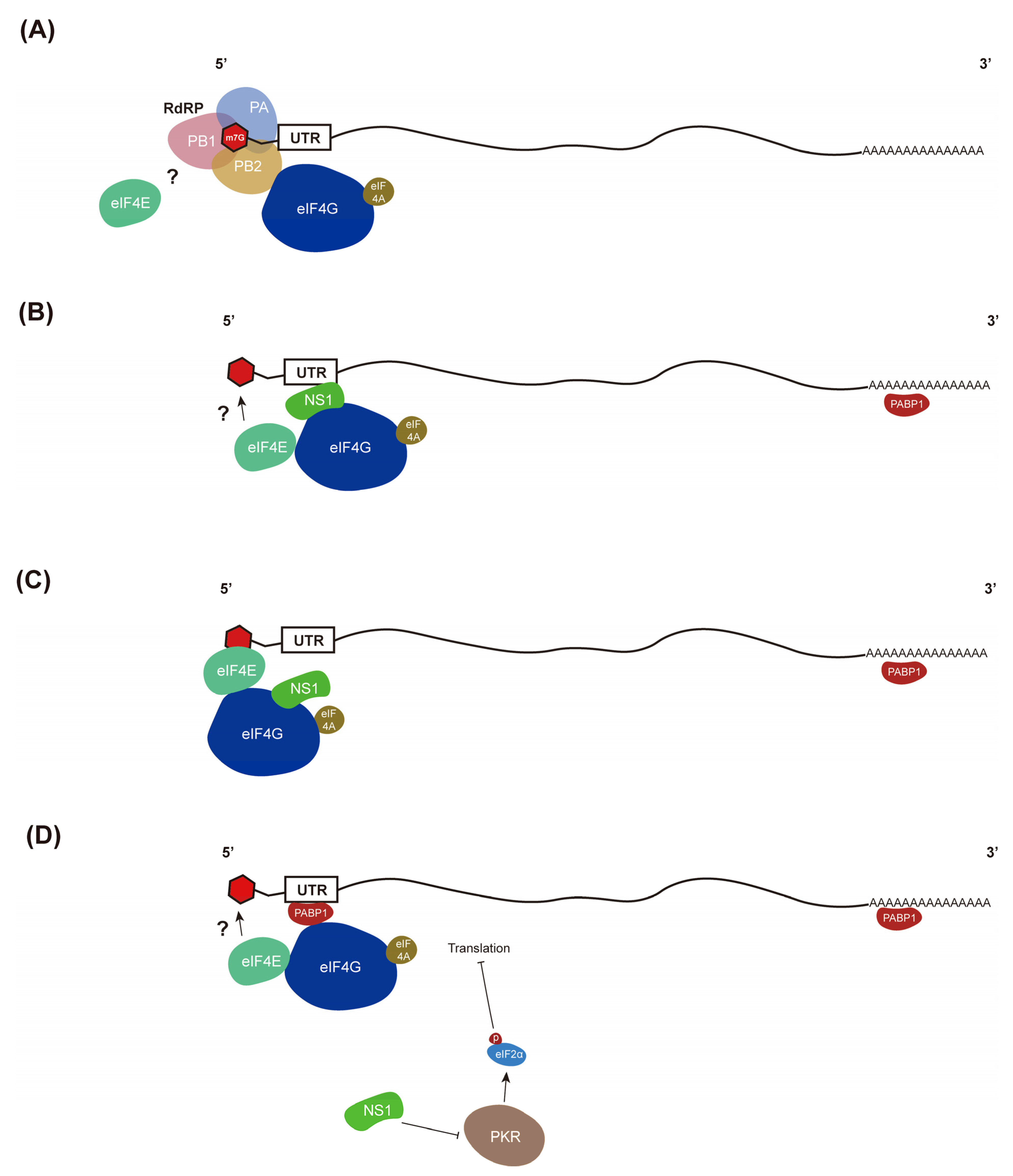 Pathogens 11 01521 g003 Pathogens 11 01521 g003