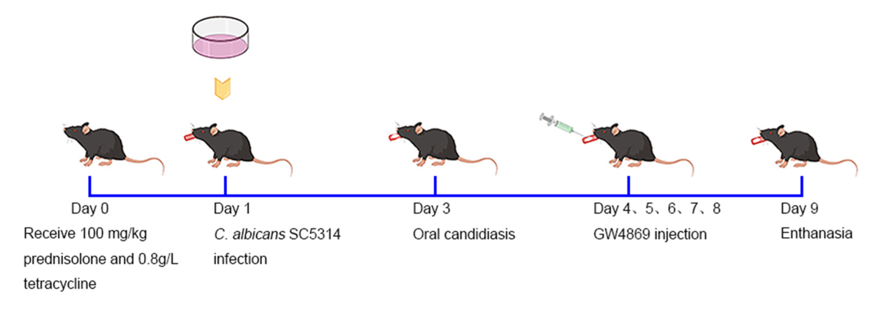 Pathogens 11 01522 g001