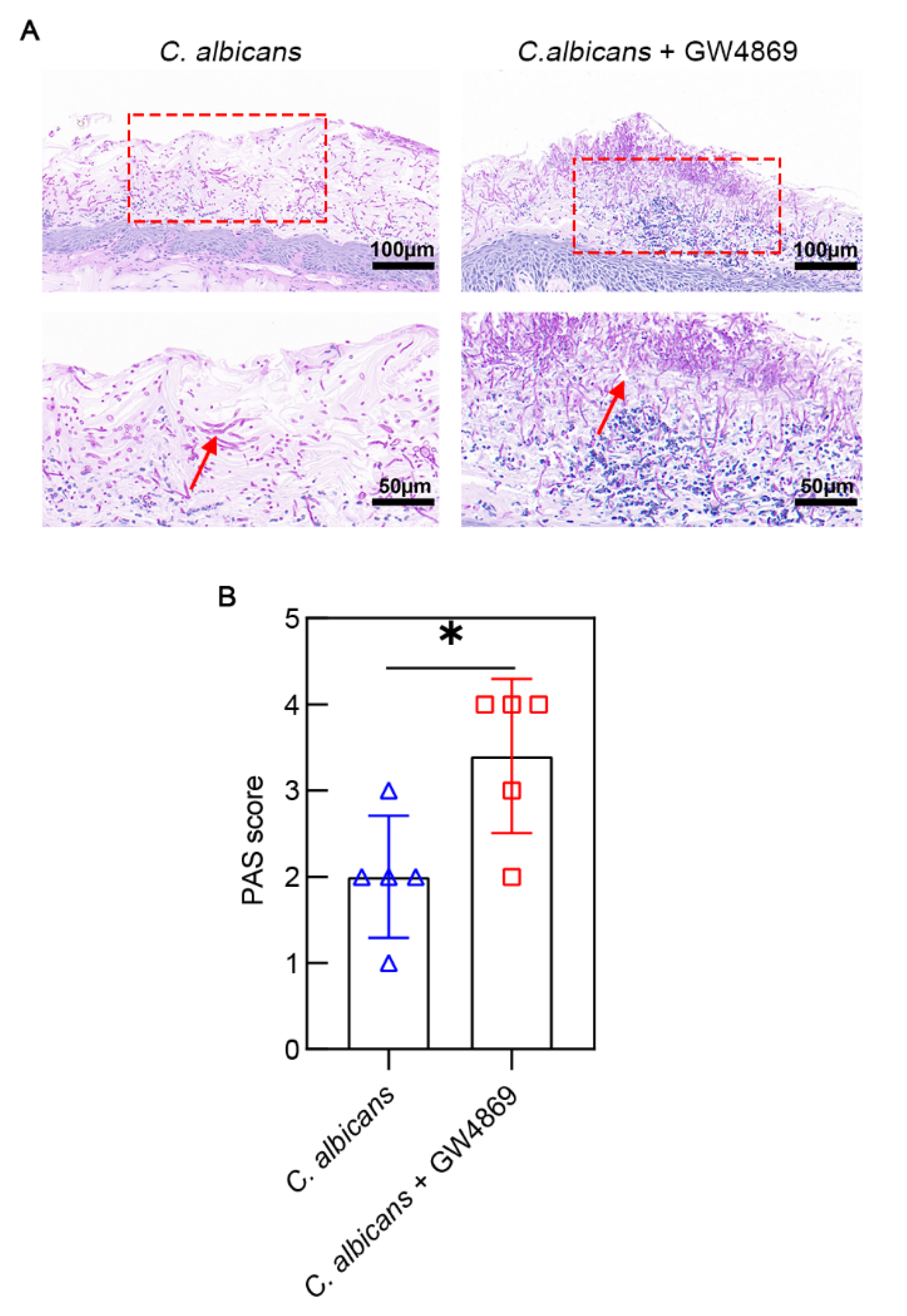 Pathogens 11 01522 g004