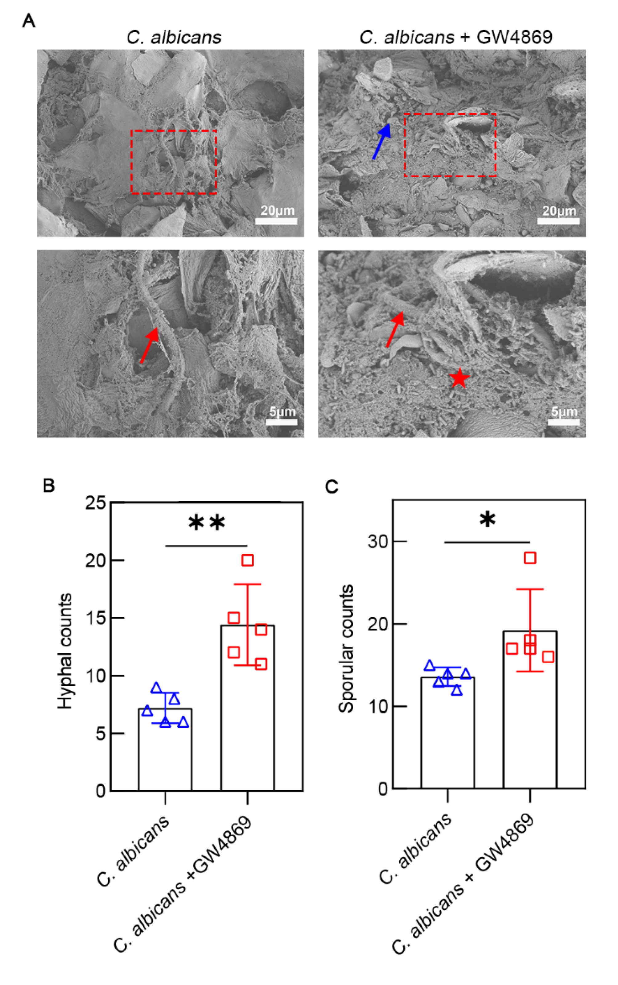 Pathogens 11 01522 g005
