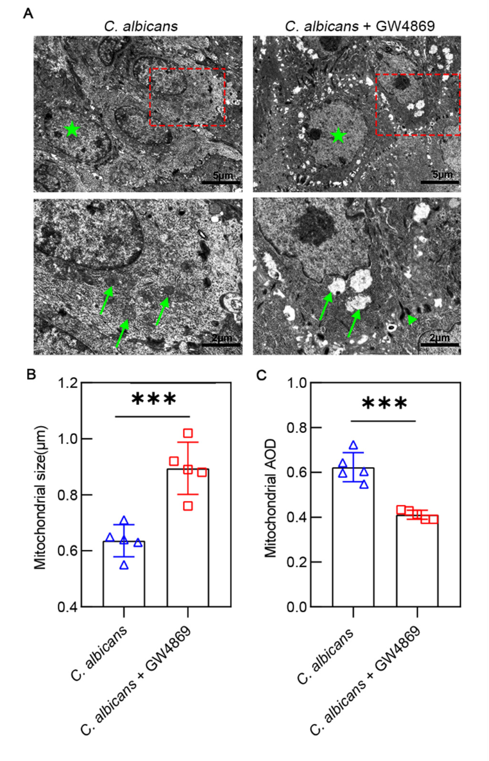 Pathogens 11 01522 g006