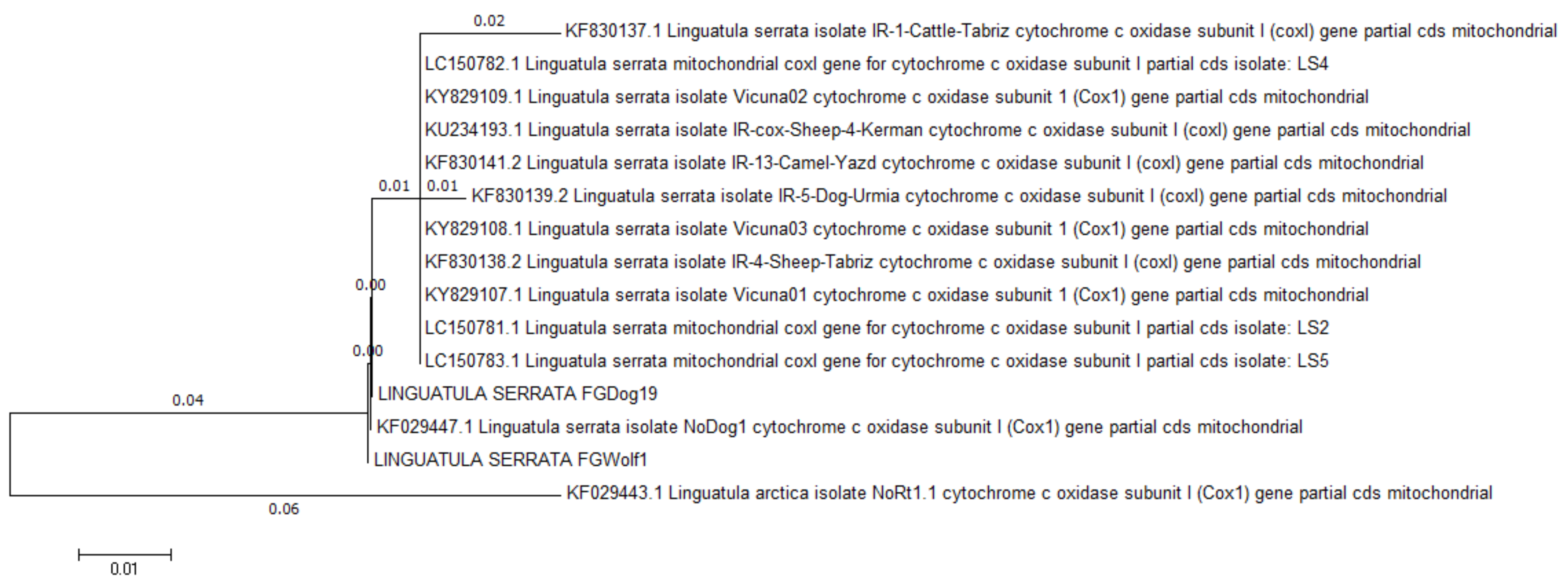 Pathogens 11 01523 g004