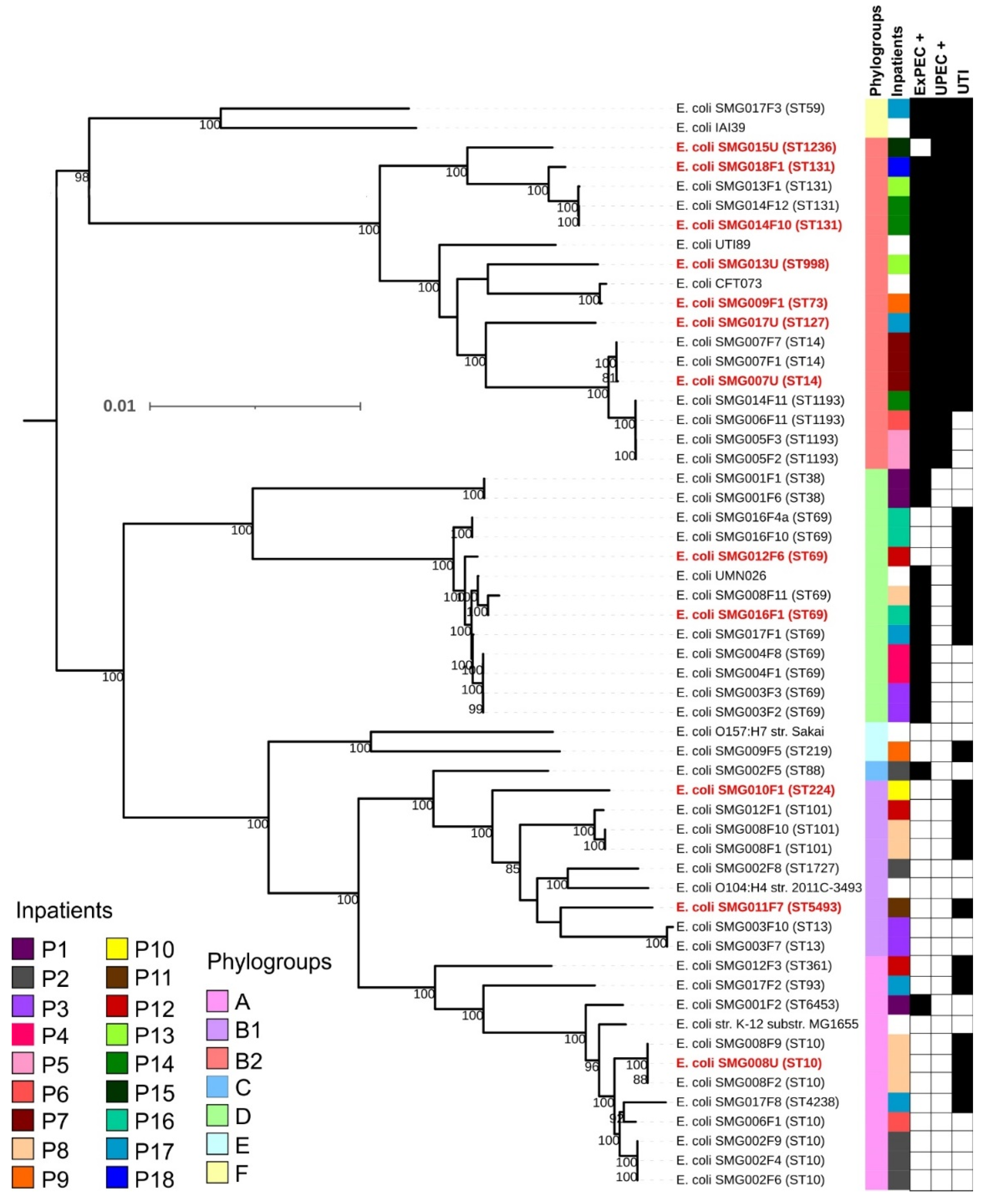 Pathogens 11 01528 g003