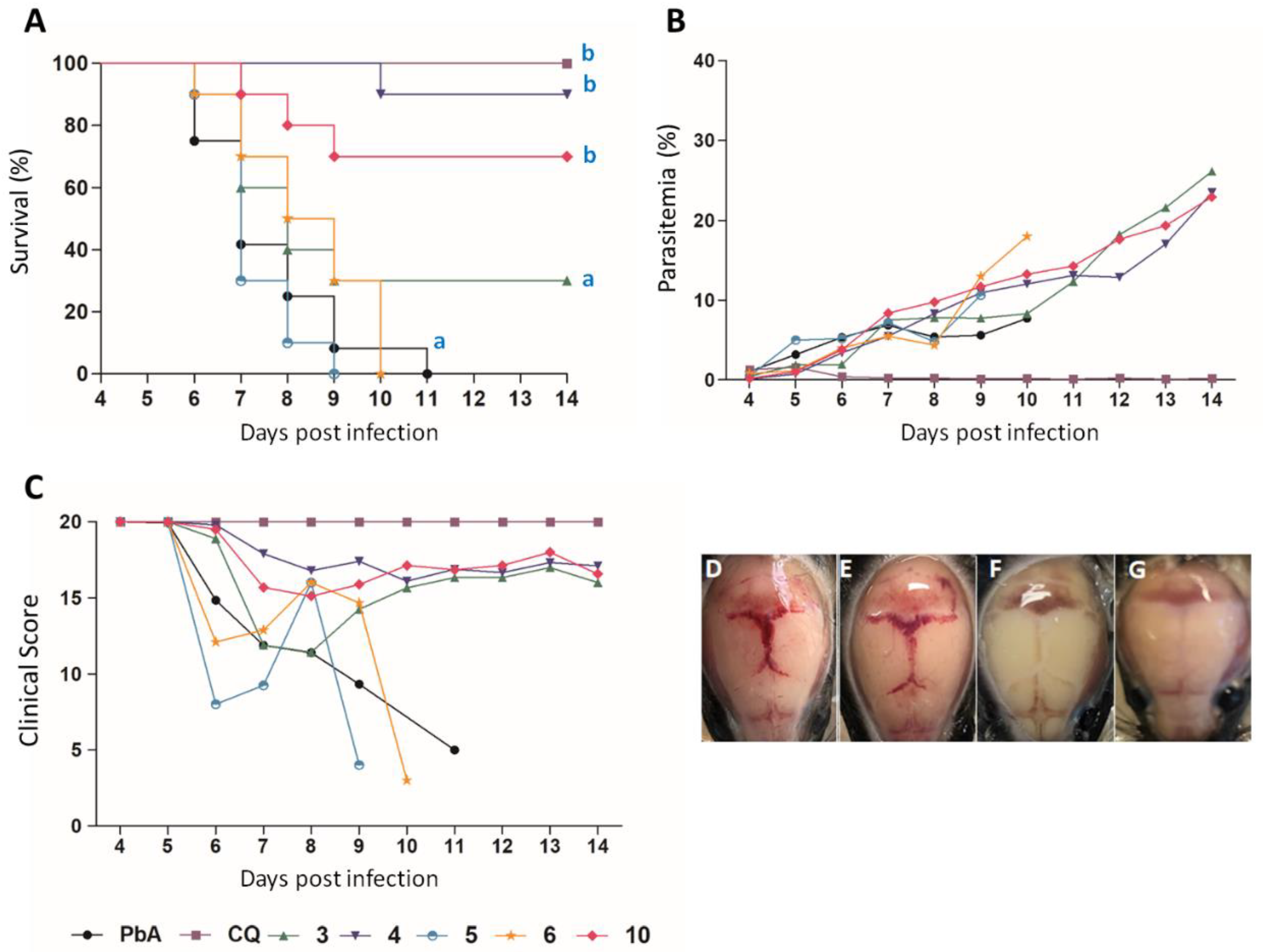 Pathogens 11 01529 g001