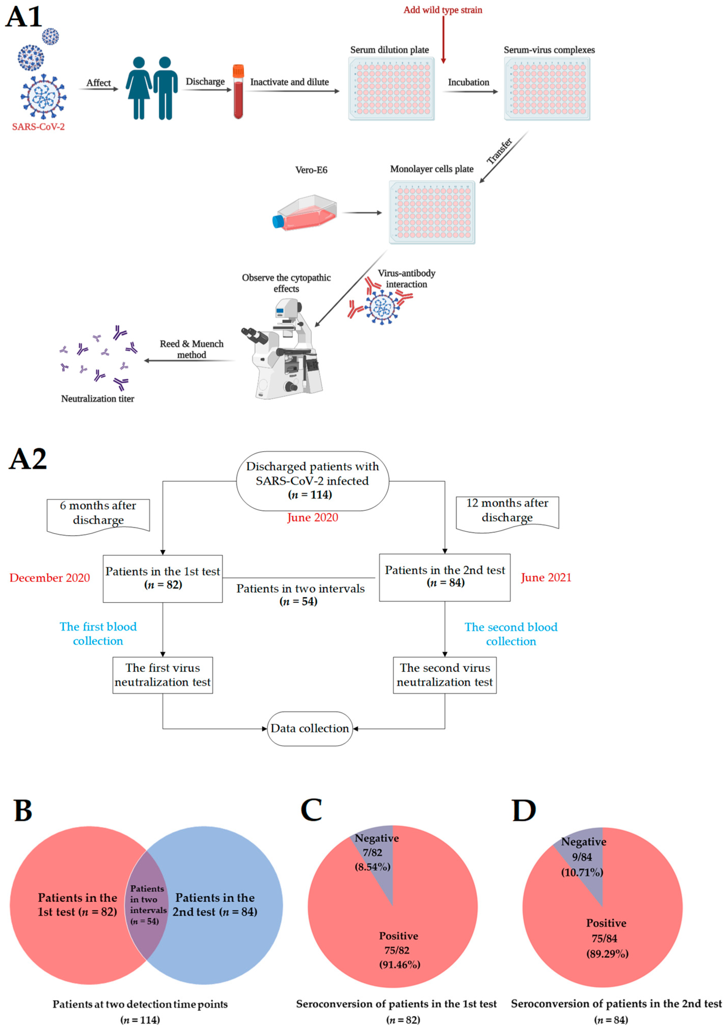 Pathogens 11 01531 g002a Pathogens 11 01531 g002a
