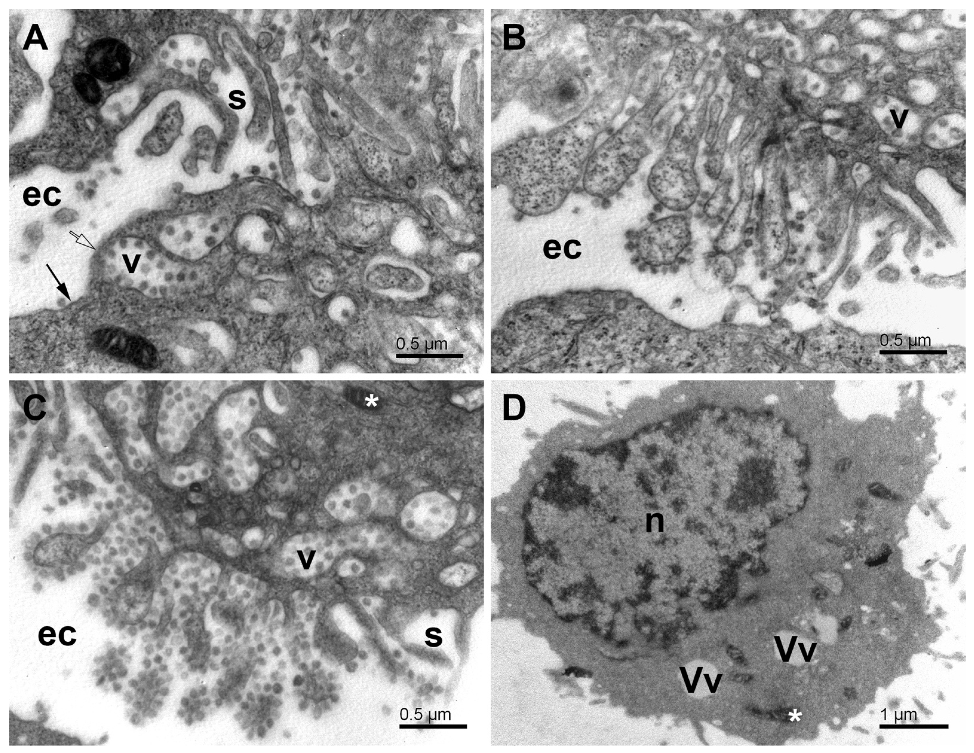 Pathogens 11 01535 g009 Pathogens 11 01535 g009