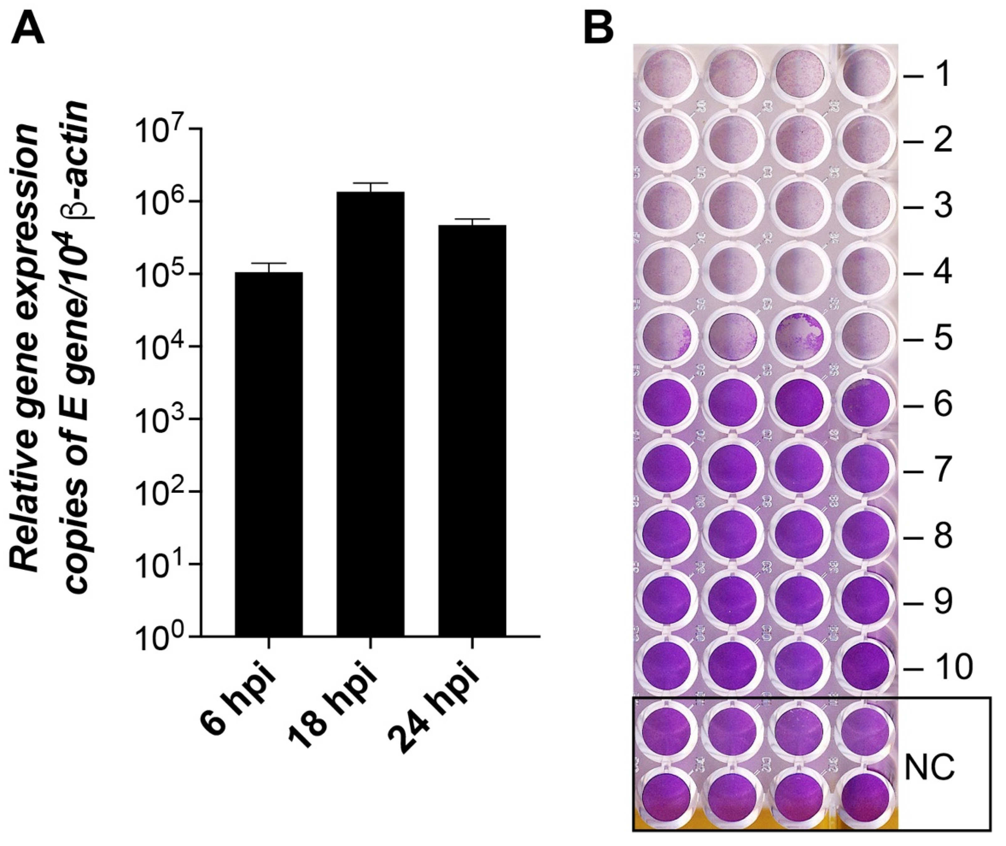 Pathogens 11 01535 g010 Pathogens 11 01535 g010