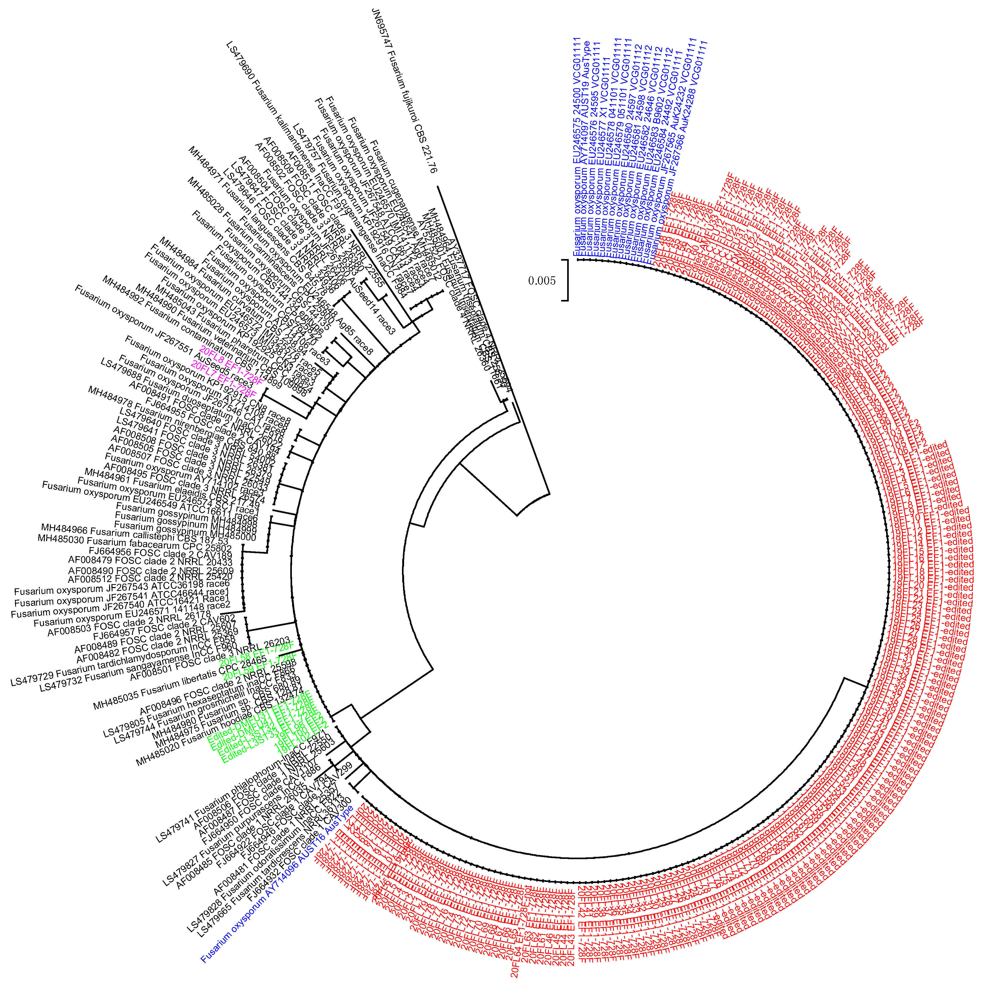 Pathogens 11 01537 g002 Pathogens 11 01537 g002