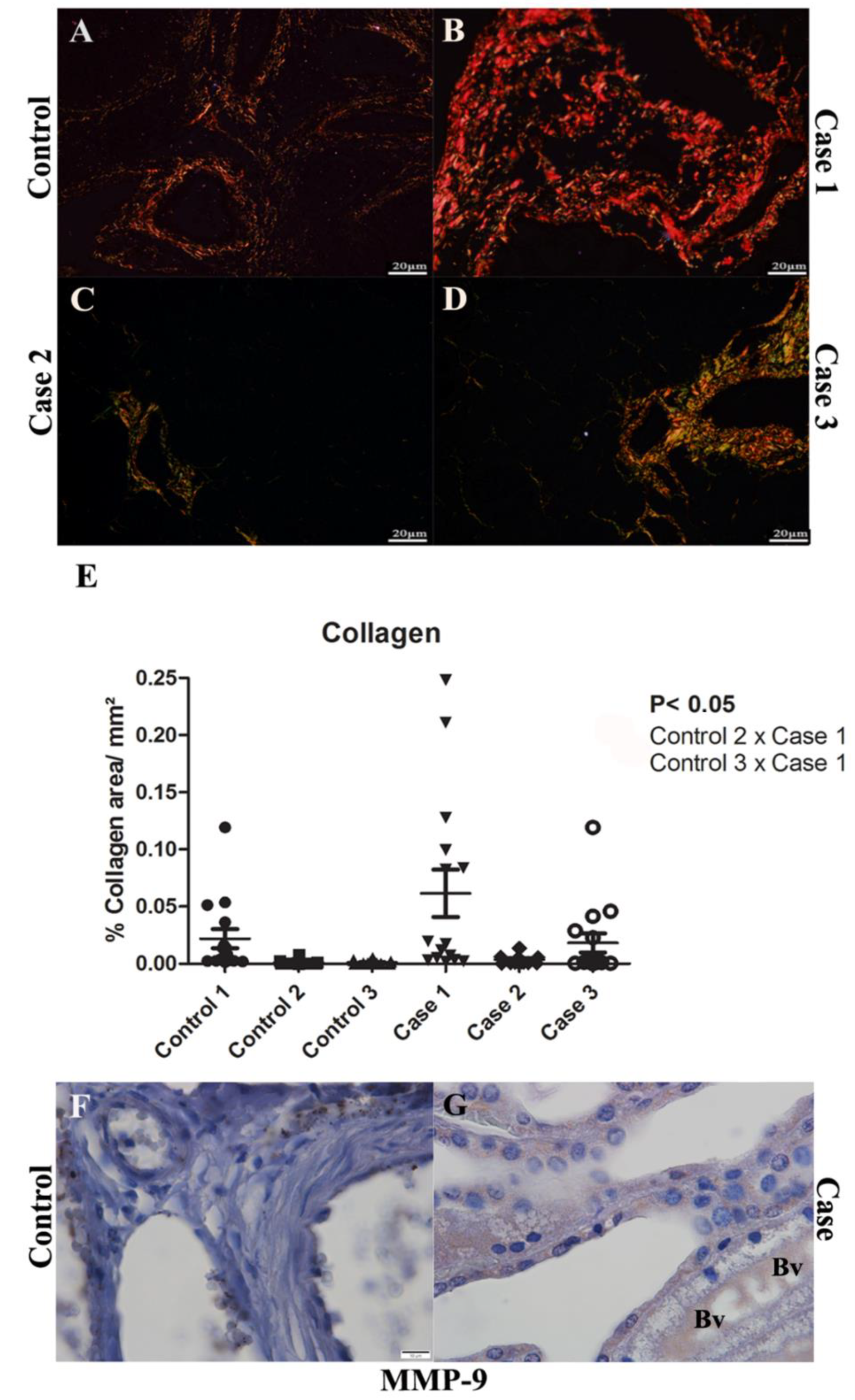 Pathogens 11 01543 g003