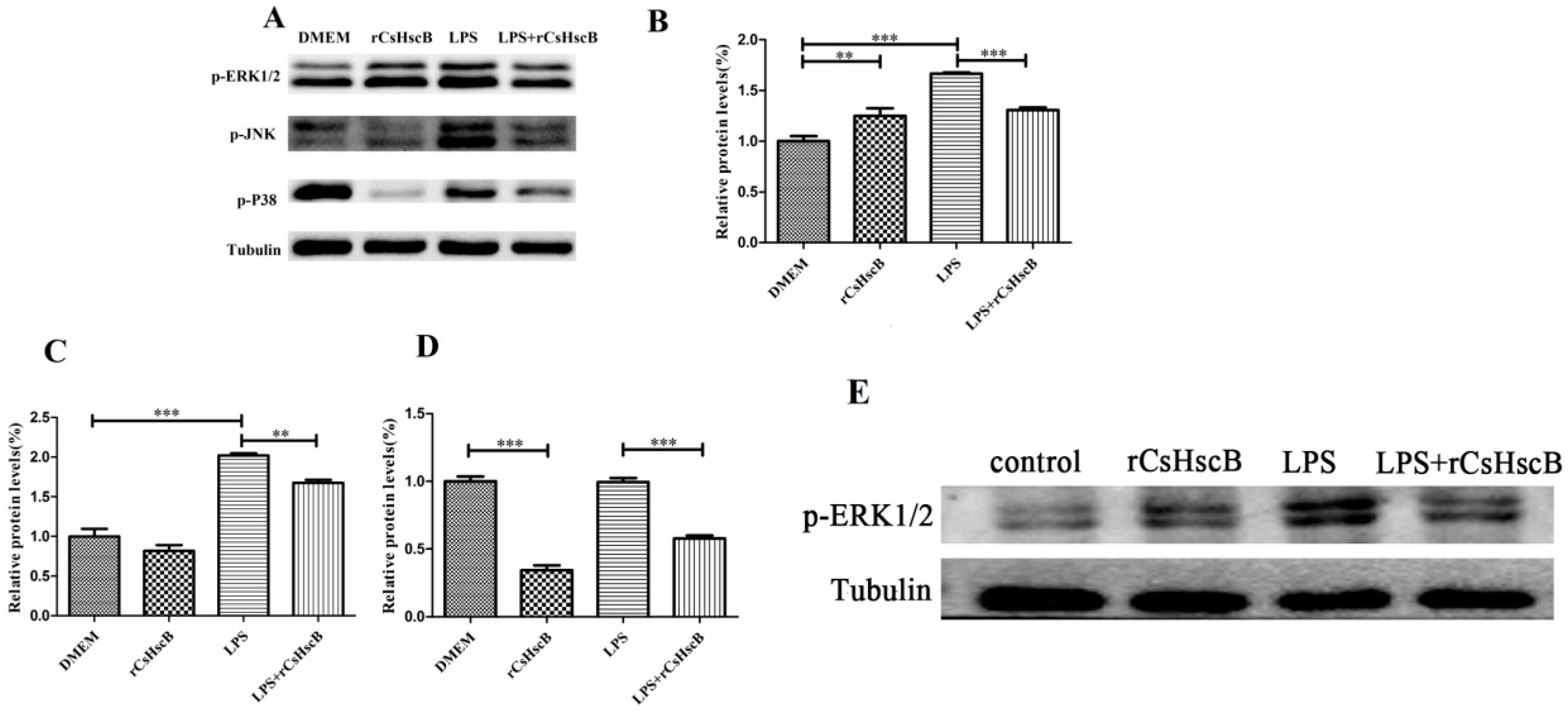 Pathogens 11 01548 g005
